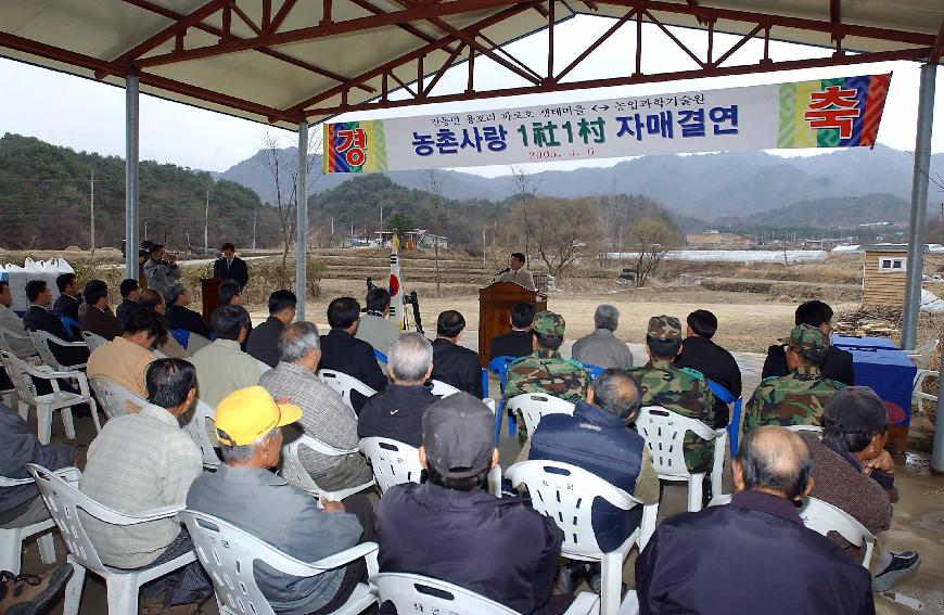 자매결연 의 사진