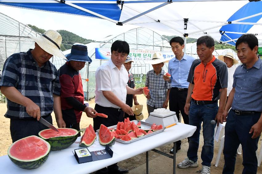 2017 고품질 수박 재배단지 조성사업 평가회 의 사진