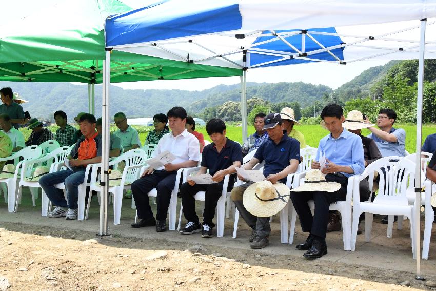 2017 고품질 수박 재배단지 조성사업 평가회 의 사진
