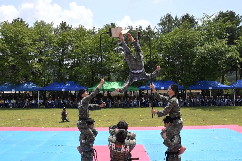 2017 육군 제7보병사단 제68주년 사단창설 기념행사 의 사진