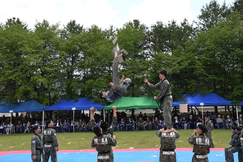 2017 육군 제7보병사단 제68주년 사단창설 기념행사 의 사진