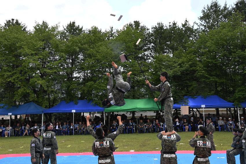 2017 육군 제7보병사단 제68주년 사단창설 기념행사 의 사진