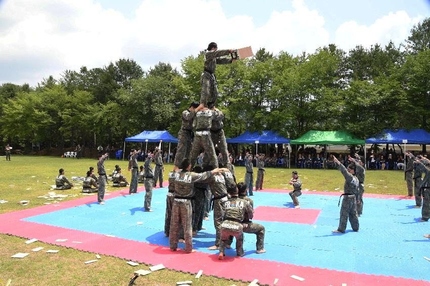 2017 육군 제7보병사단 제68주년 사단창설 기념행사 의 사진