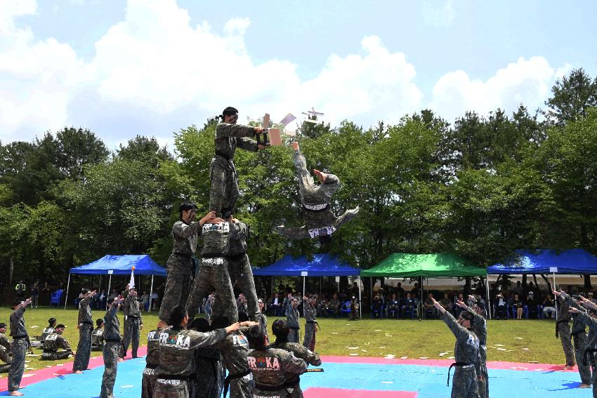 2017 육군 제7보병사단 제68주년 사단창설 기념행사 의 사진