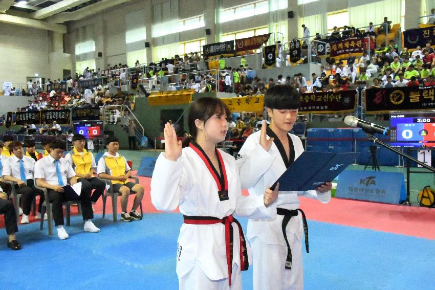 2017 제34회 강원교육감기 태권도대회 겸 전국소년체육대회 도대표 선발전 의 사진