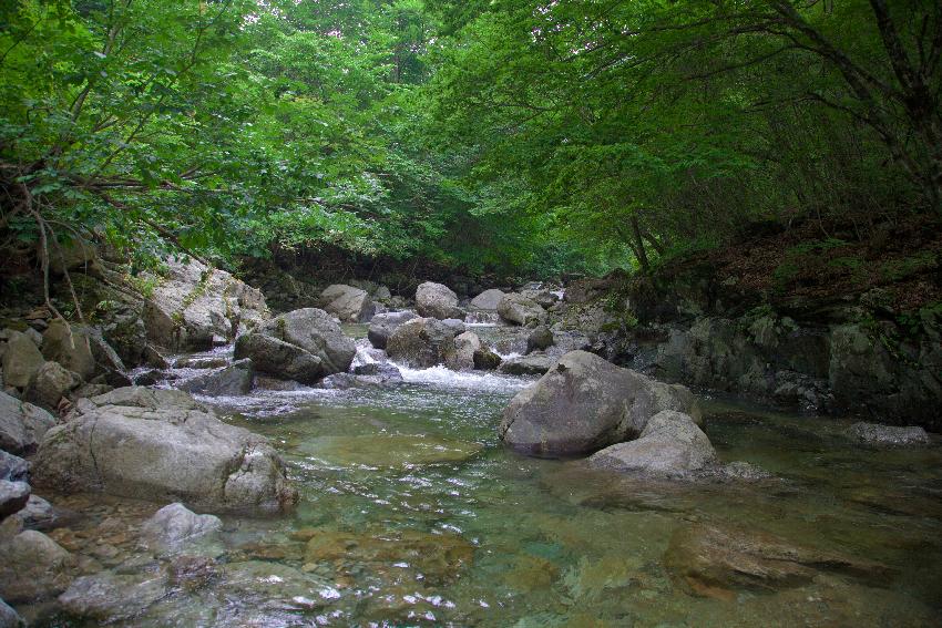 2017 포토제닉 화천 의 사진