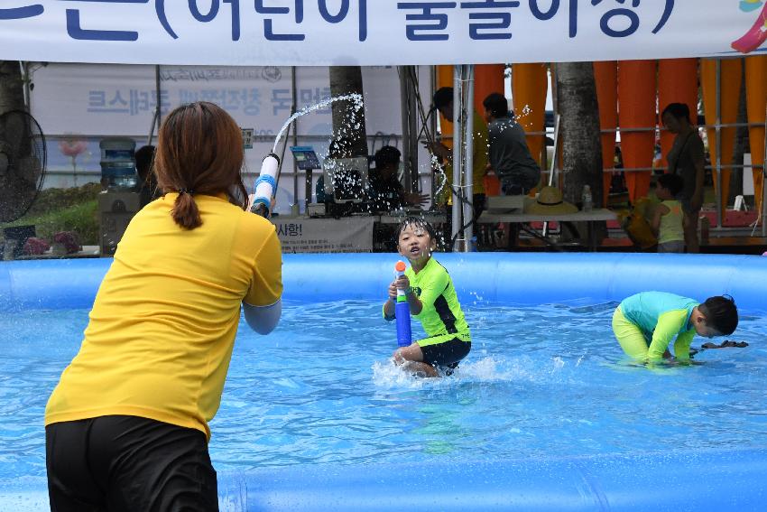 2017 물의나라화천 쪽배축제 봉어섬 전경 의 사진