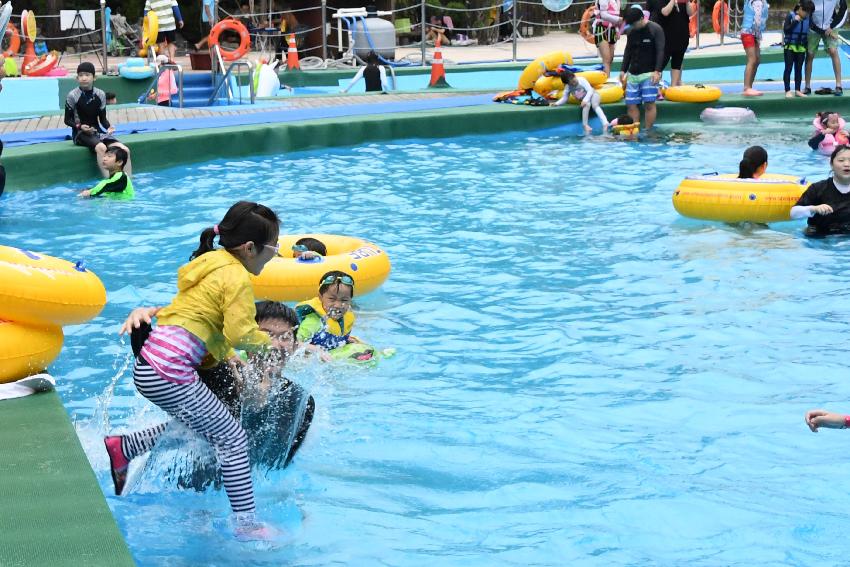 2017 물의나라화천 쪽배축제 봉어섬 전경 의 사진