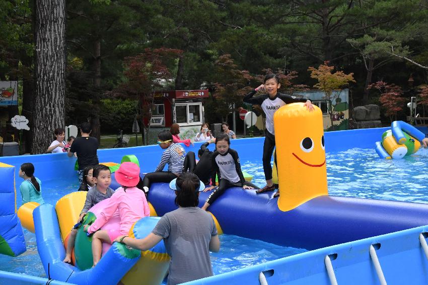 2017 물의나라화천 쪽배축제 봉어섬 전경 의 사진