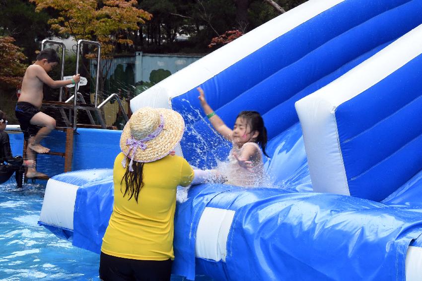 2017 물의나라화천 쪽배축제 봉어섬 전경 의 사진