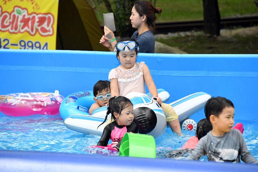 2017 물의나라화천 쪽배축제 봉어섬 전경 의 사진