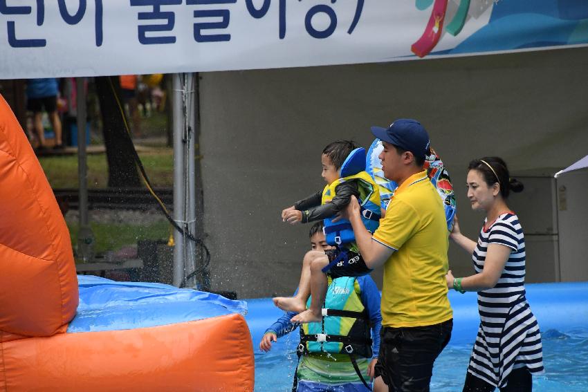 2017 물의나라화천 쪽배축제 봉어섬 전경 의 사진