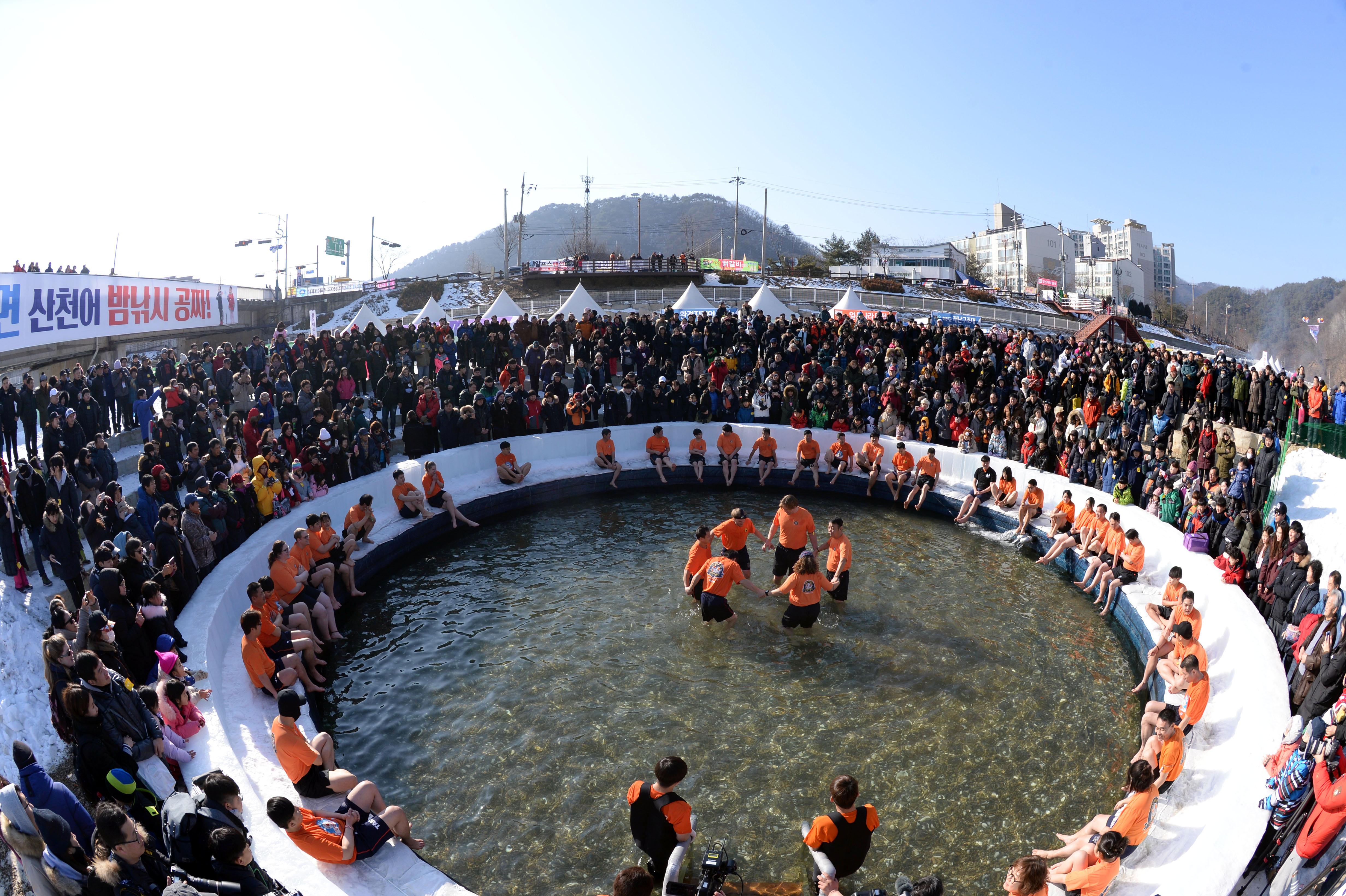 2018 화천산천어축제 산천어맨손잡기 의 사진
