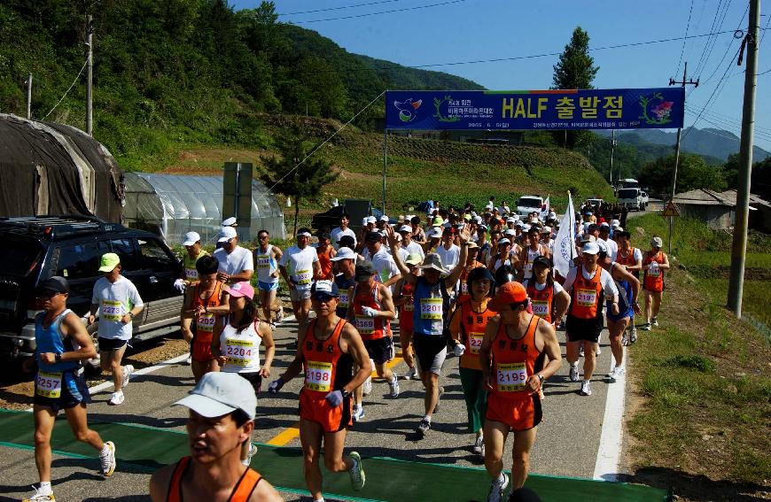 하프마라톤 의 사진