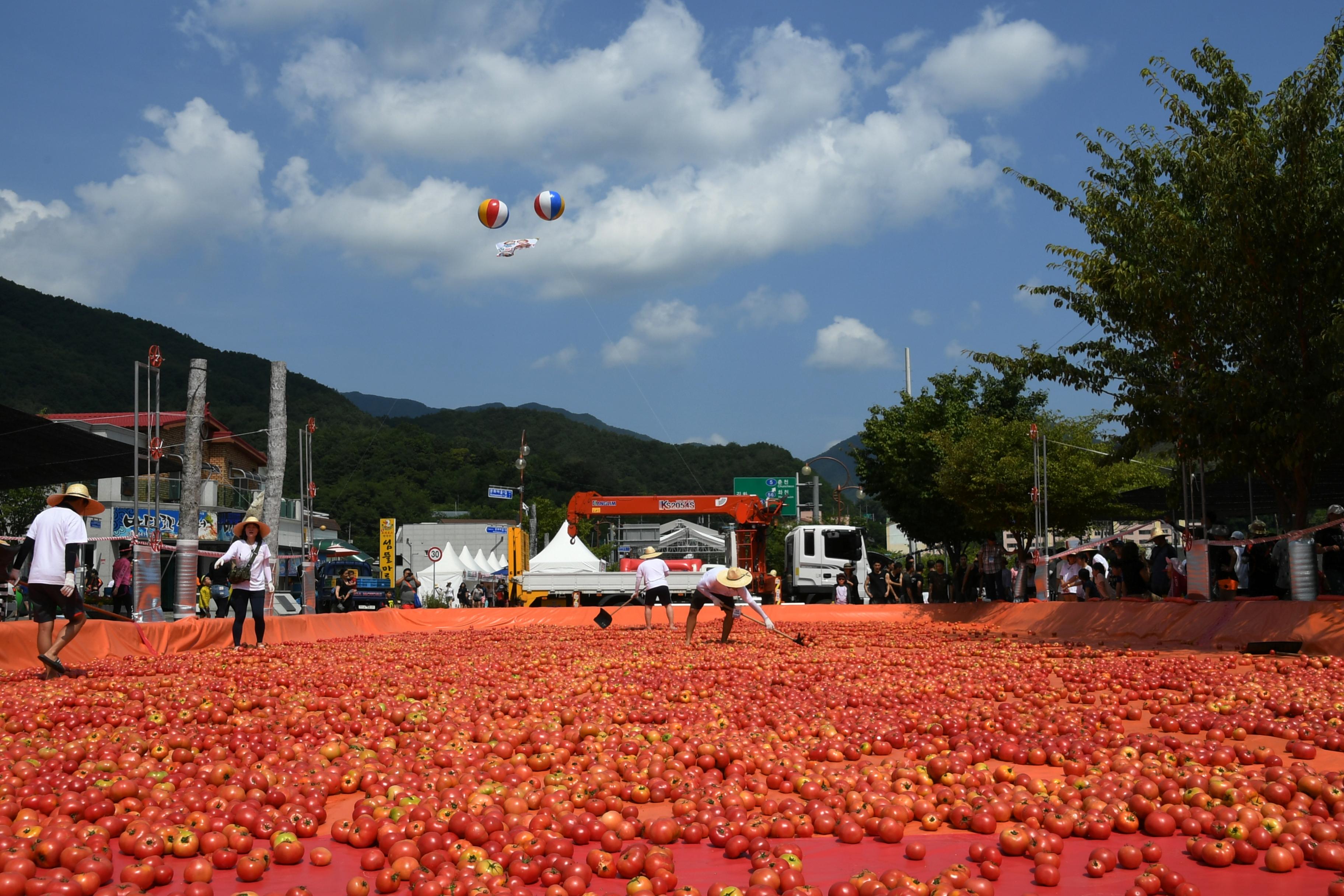 2018 화천토마토축제 황금반지를 찾아라 의 사진