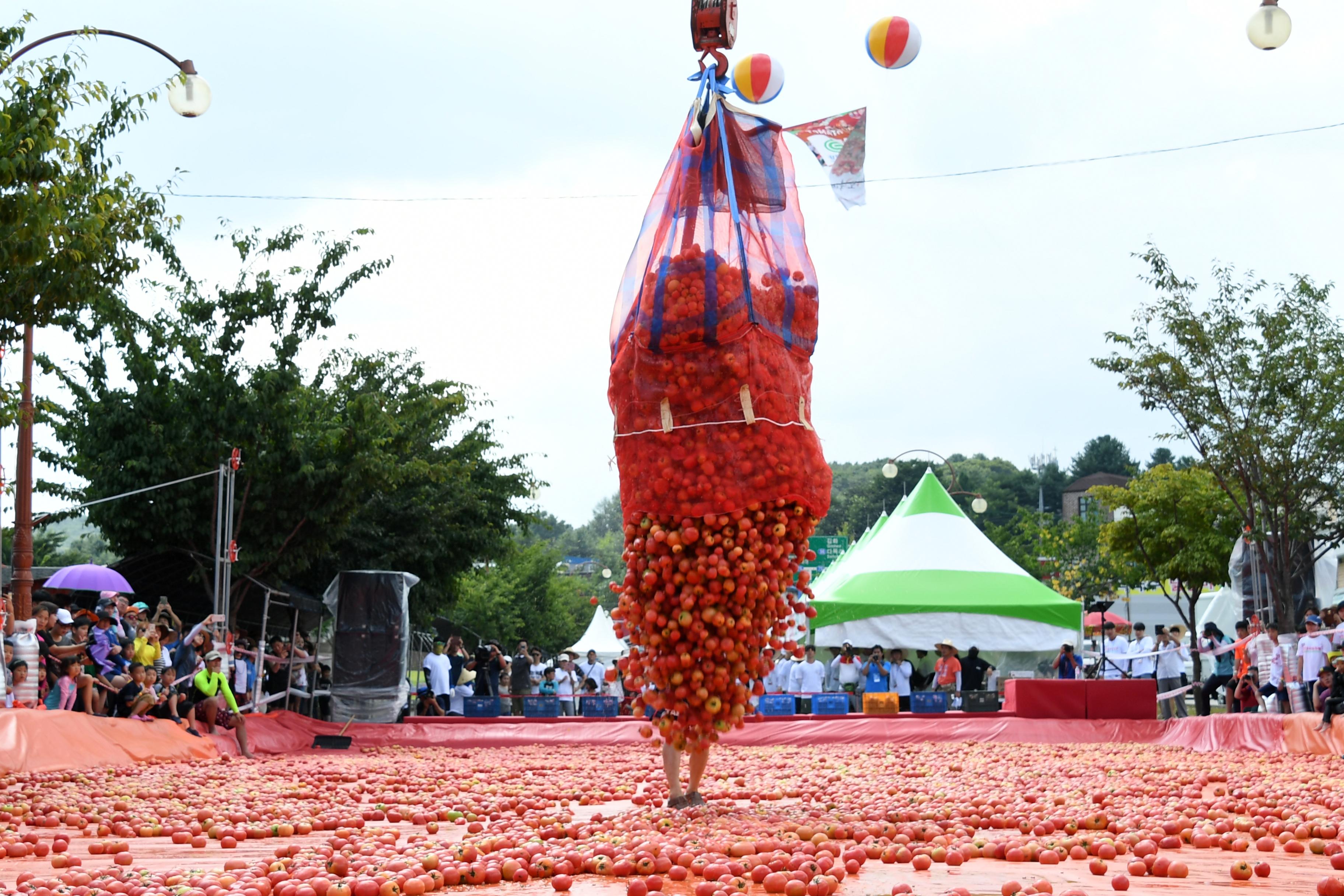 2018 화천토마토축제 황금반지를 찾아라 의 사진