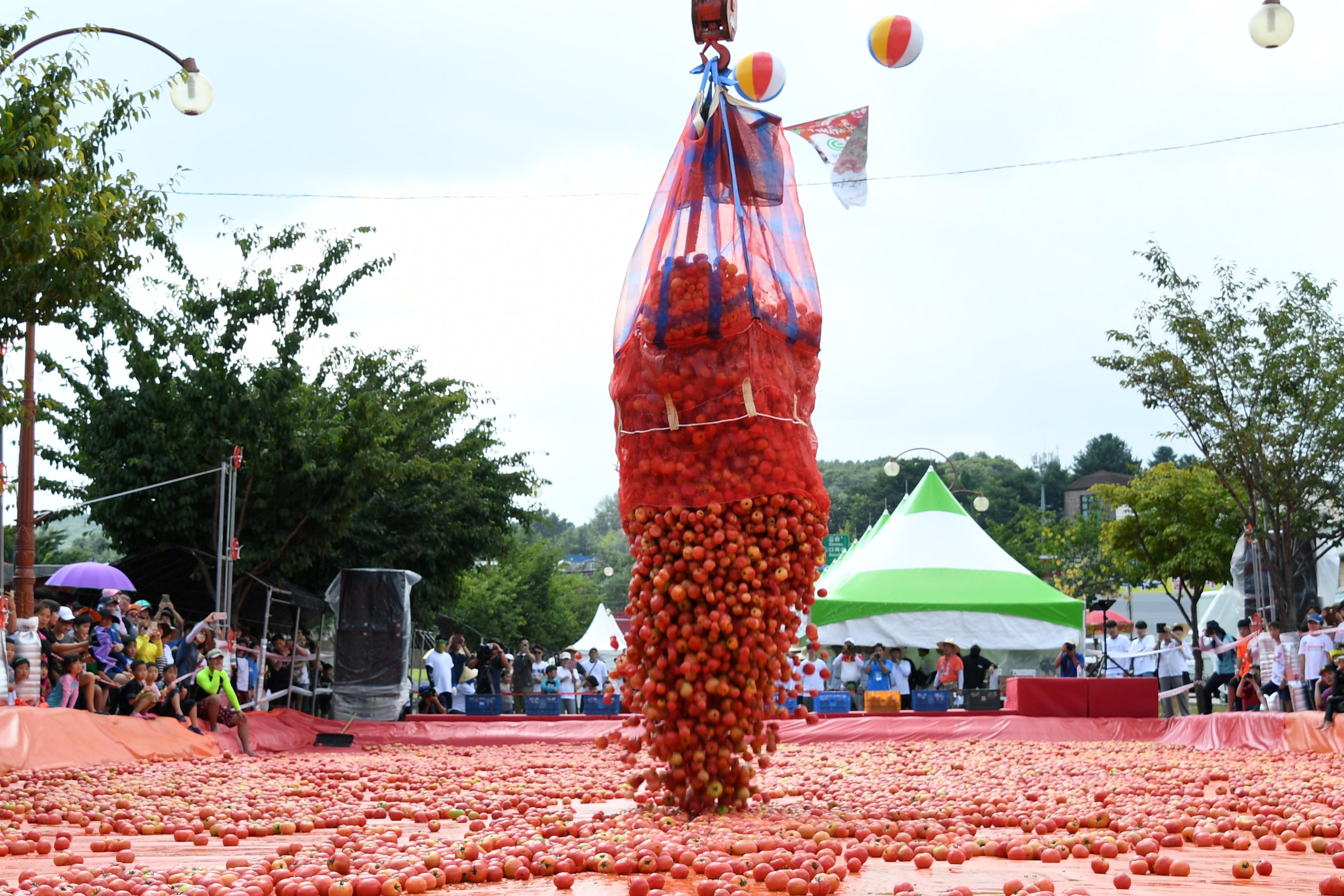 2018 화천토마토축제 황금반지를 찾아라 의 사진