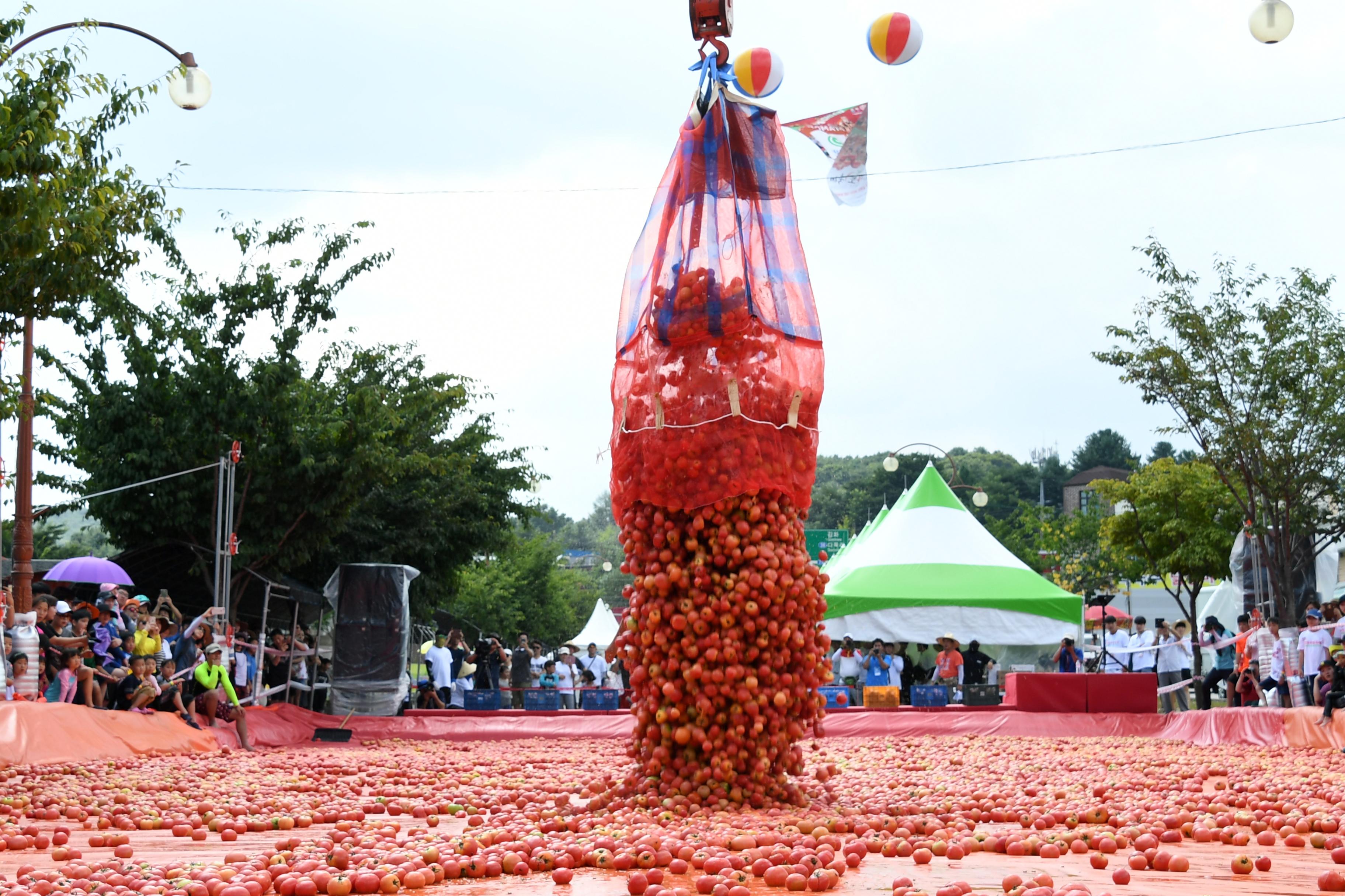 2018 화천토마토축제 황금반지를 찾아라 의 사진