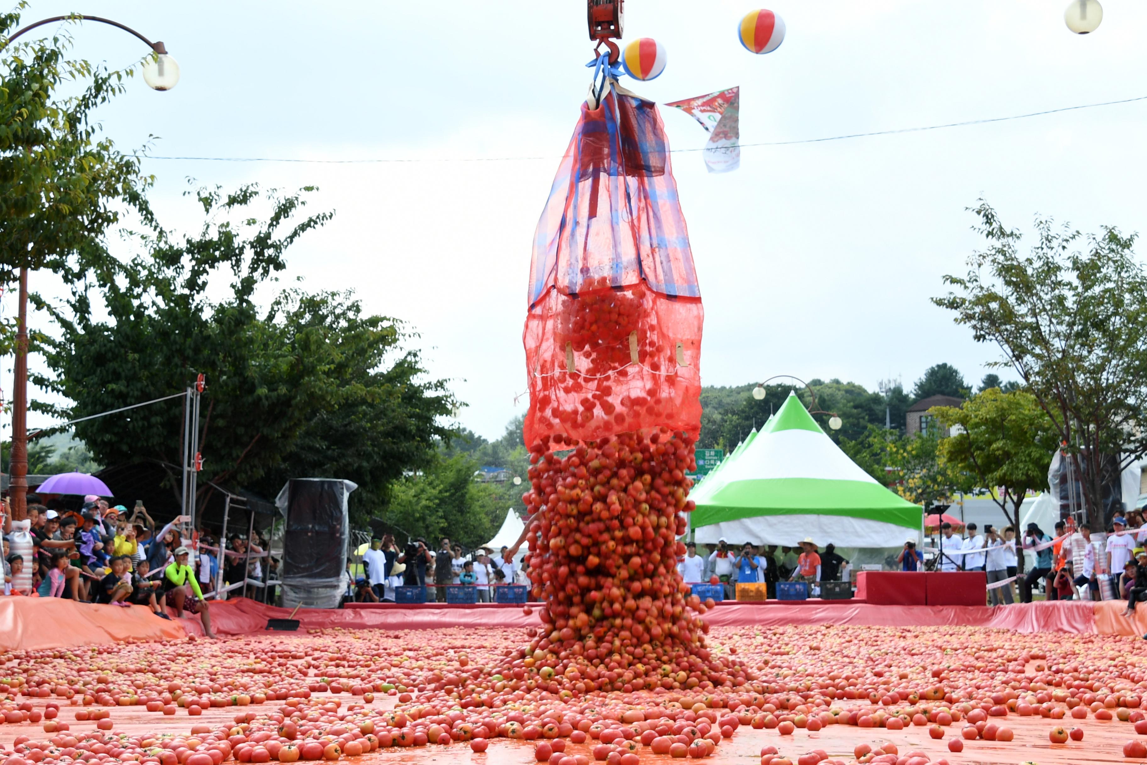 2018 화천토마토축제 황금반지를 찾아라 의 사진