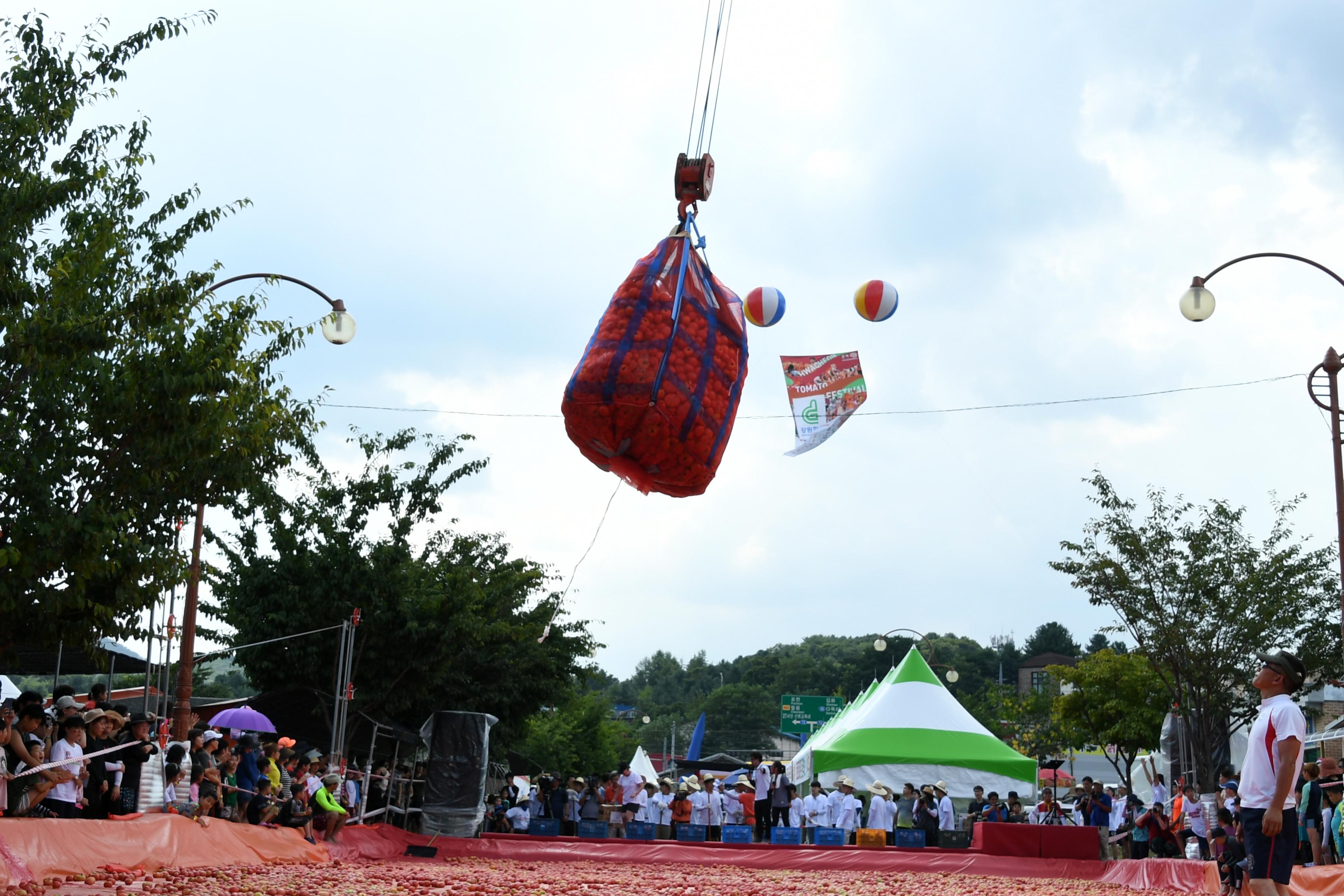 2018 화천토마토축제 황금반지를 찾아라 의 사진