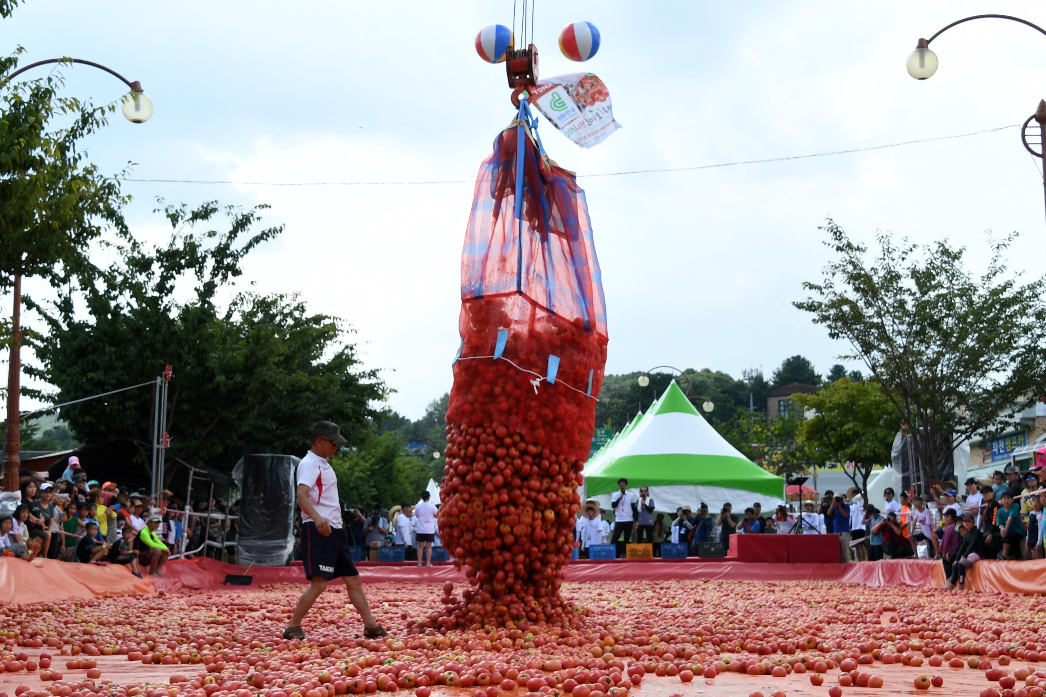 2018 화천토마토축제 황금반지를 찾아라 의 사진