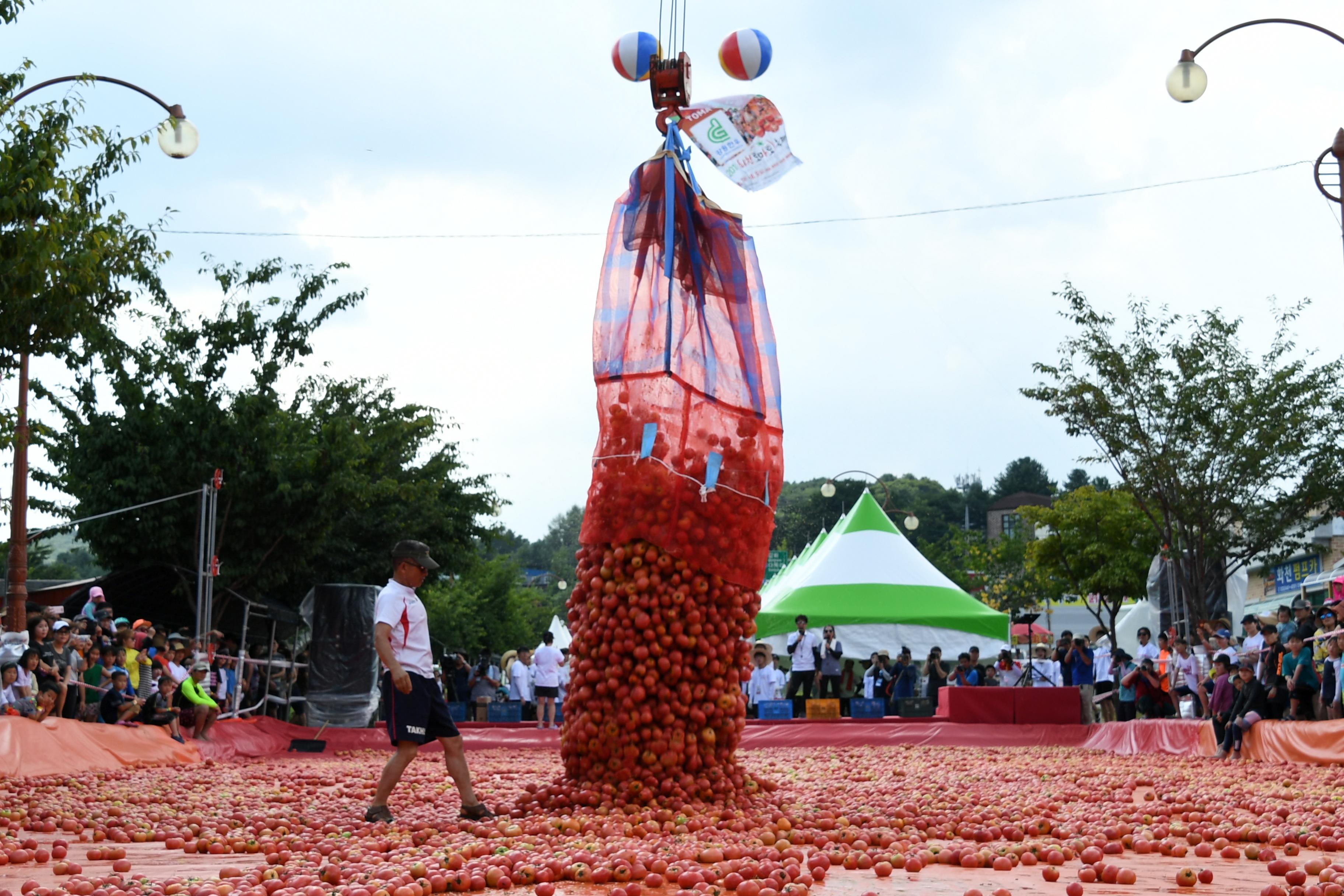 2018 화천토마토축제 황금반지를 찾아라 의 사진