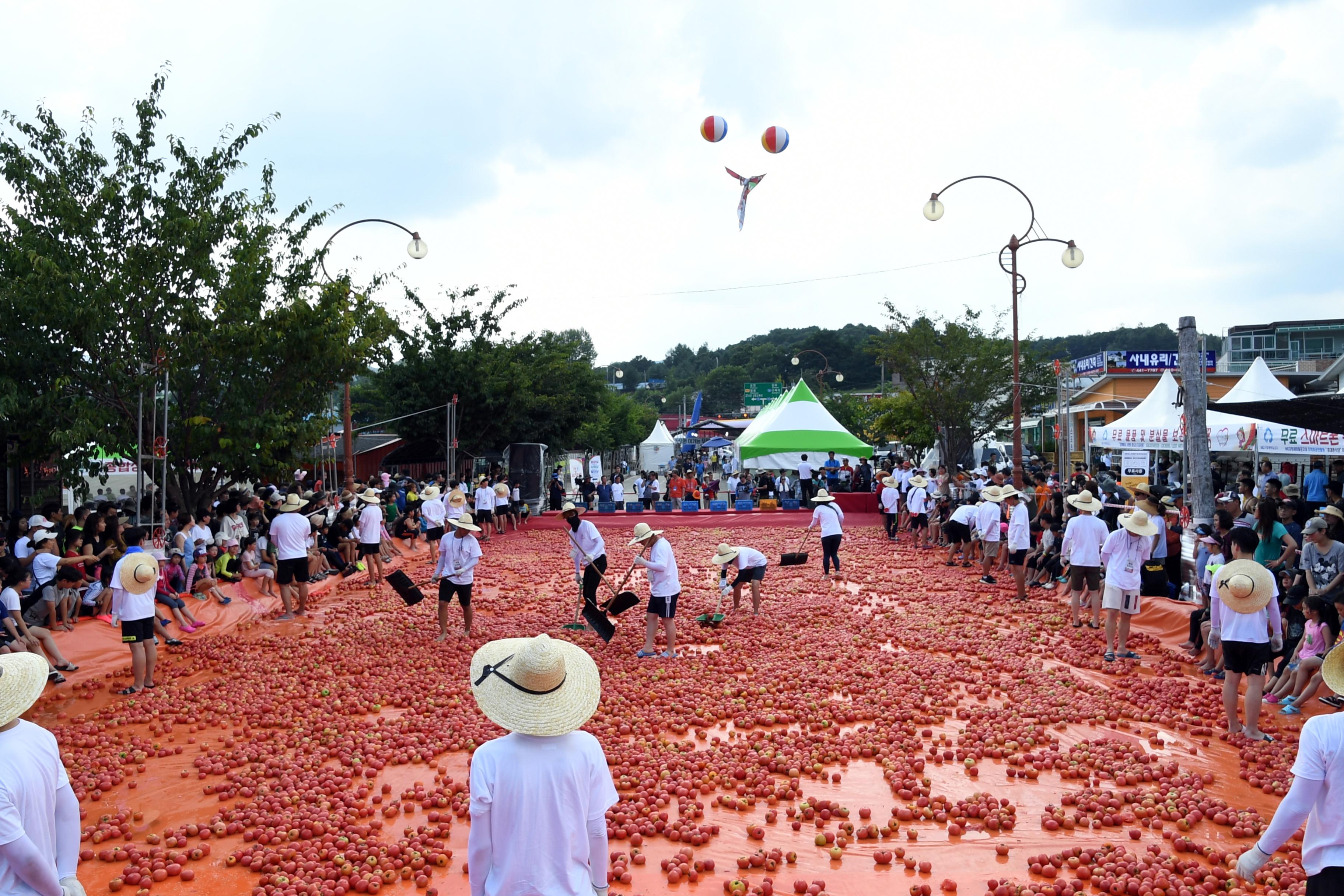 2018 화천토마토축제 황금반지를 찾아라 의 사진