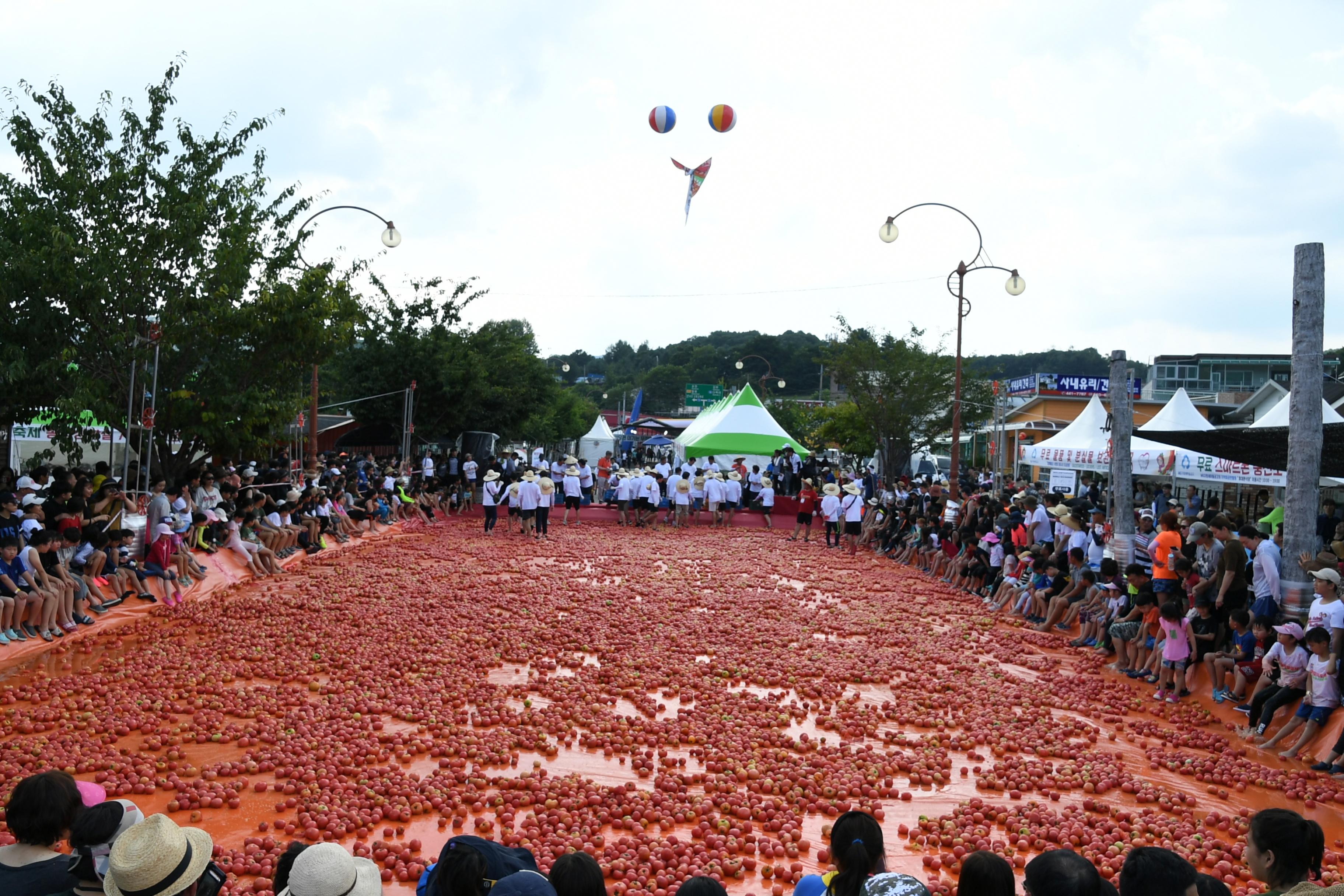 2018 화천토마토축제 황금반지를 찾아라 의 사진