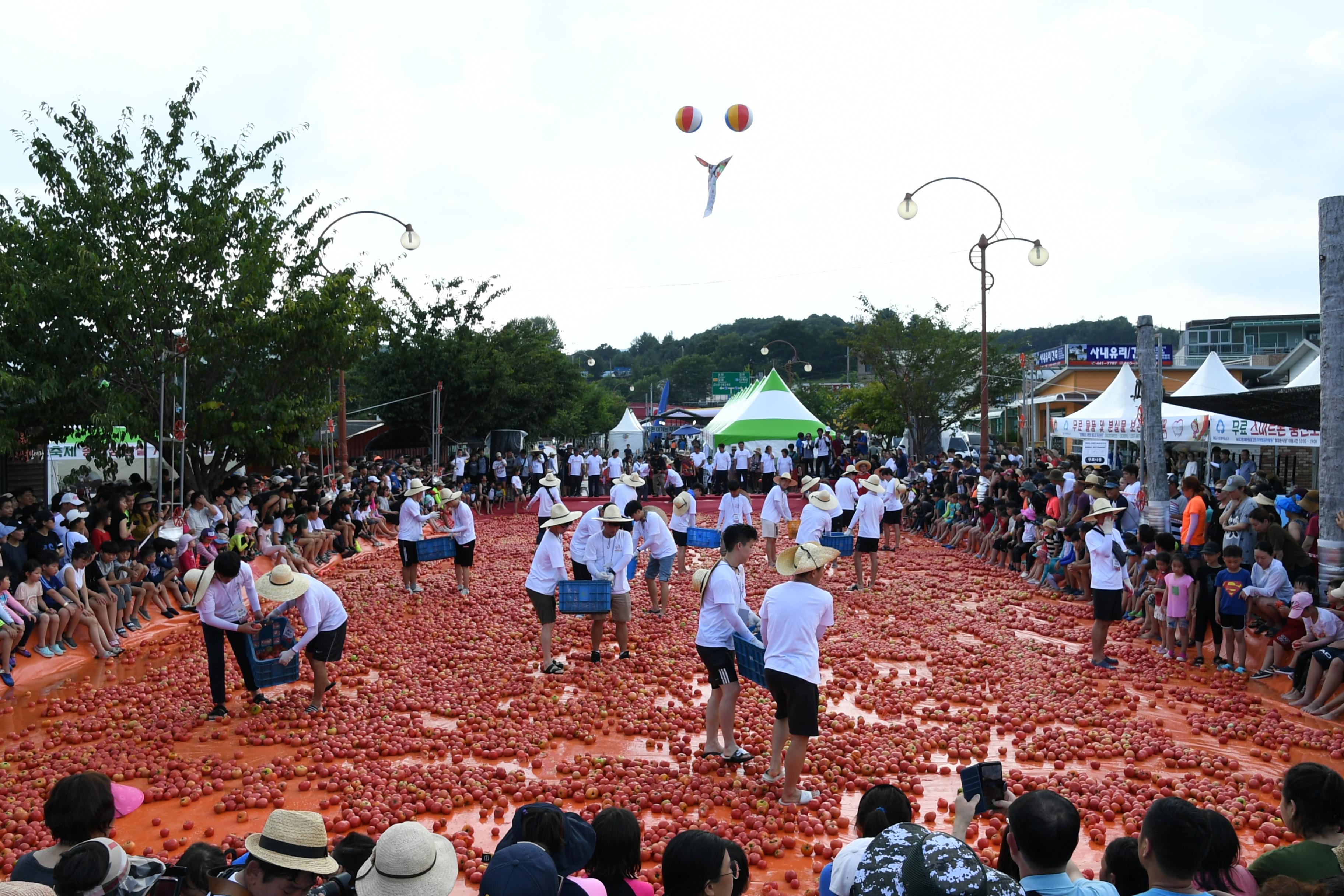 2018 화천토마토축제 황금반지를 찾아라 의 사진