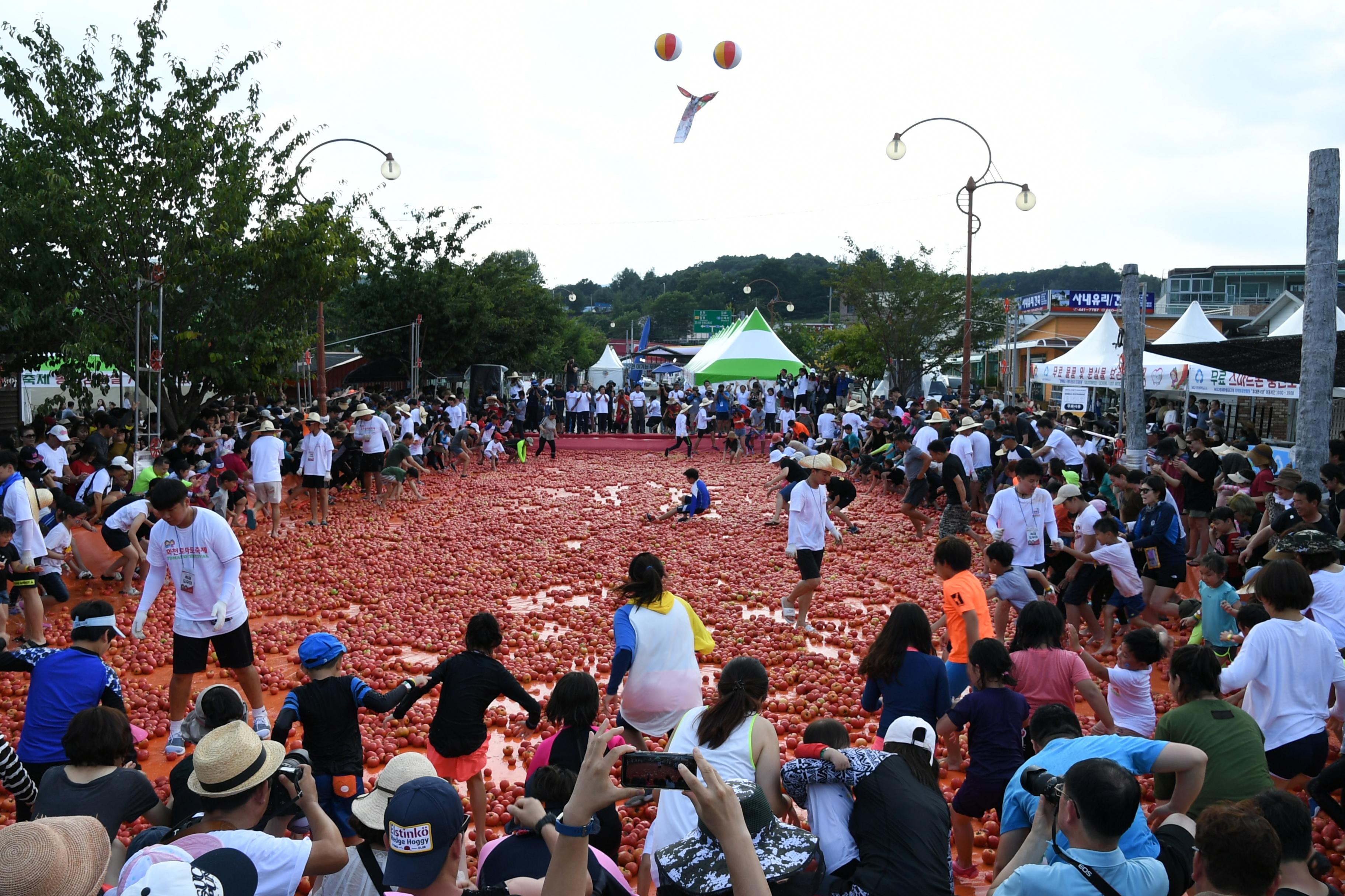 2018 화천토마토축제 황금반지를 찾아라 의 사진