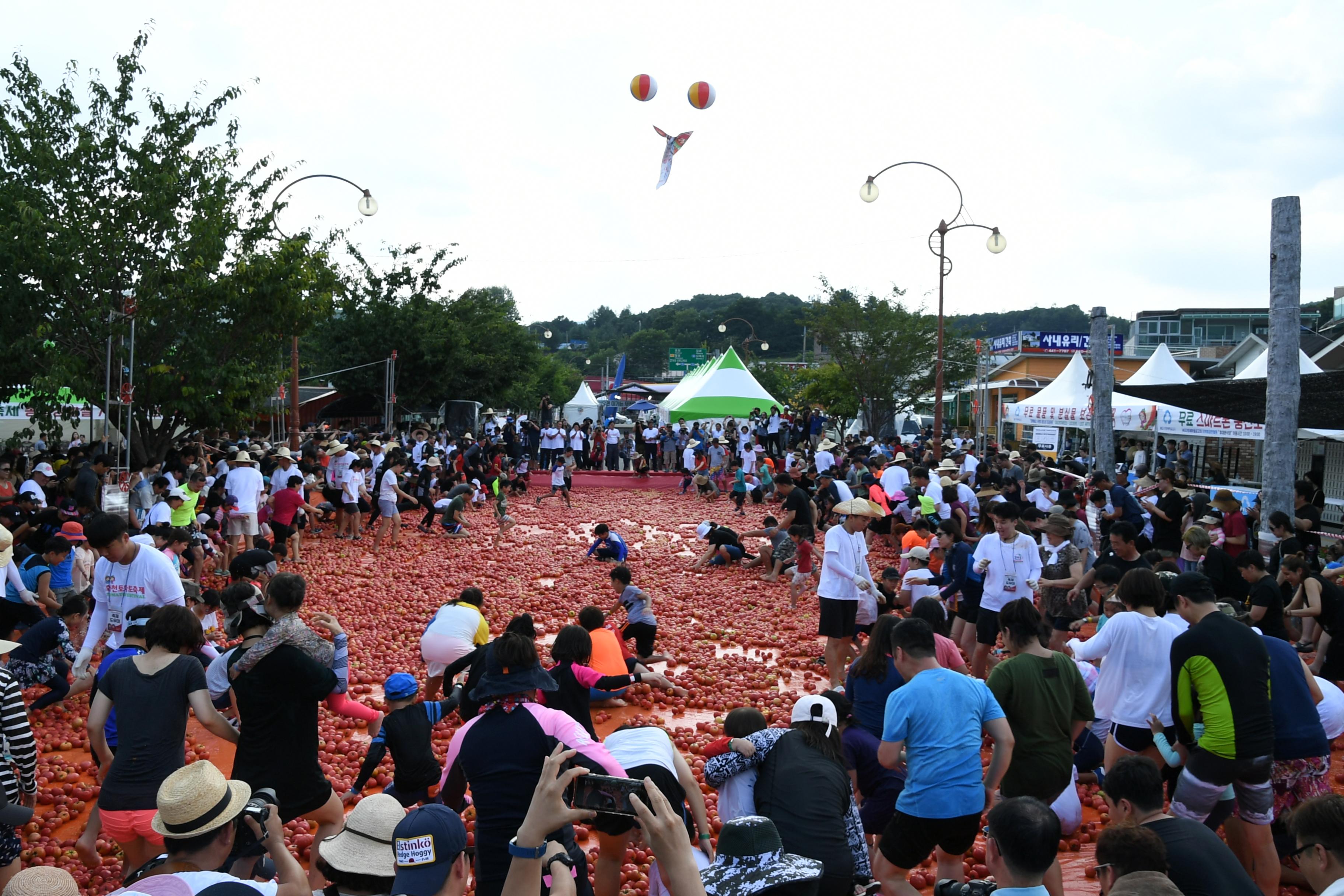 2018 화천토마토축제 황금반지를 찾아라 의 사진