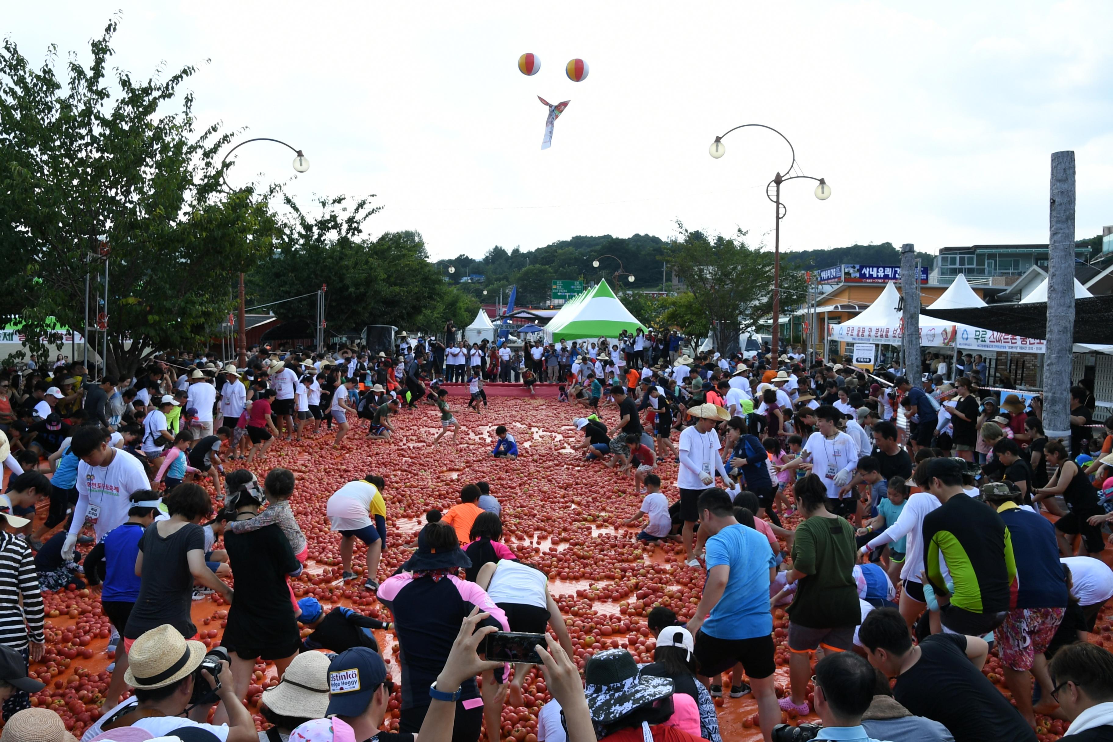 2018 화천토마토축제 황금반지를 찾아라 의 사진