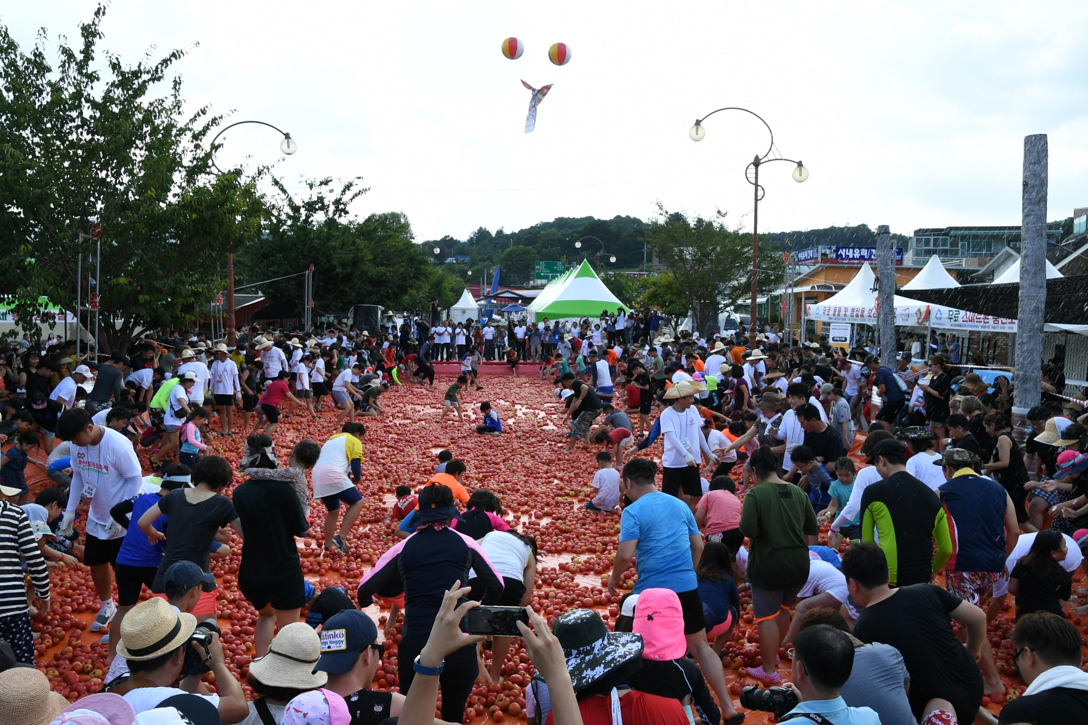 2018 화천토마토축제 황금반지를 찾아라 의 사진