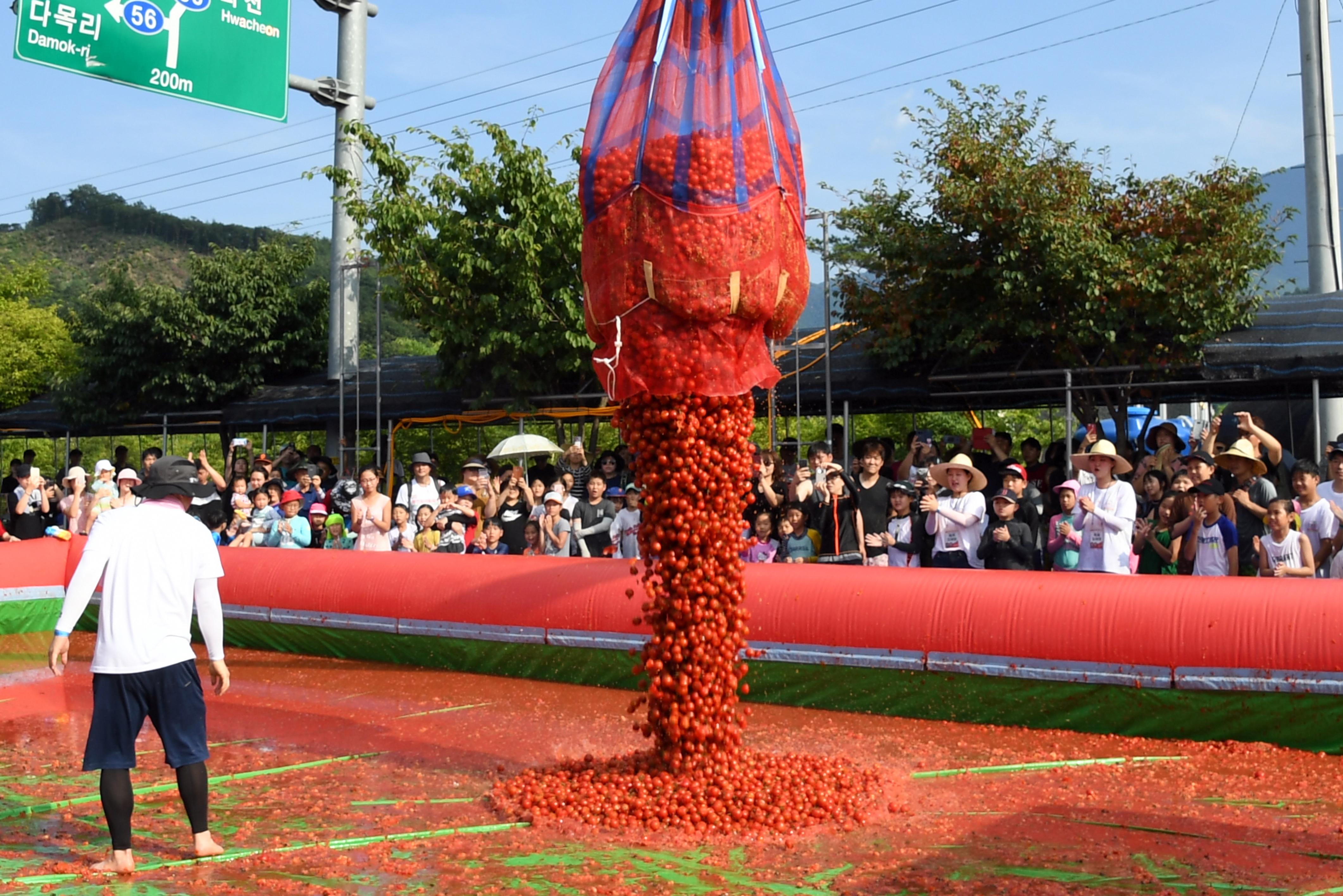 2018 화천토마토축제 황금반지를 찾아라 의 사진