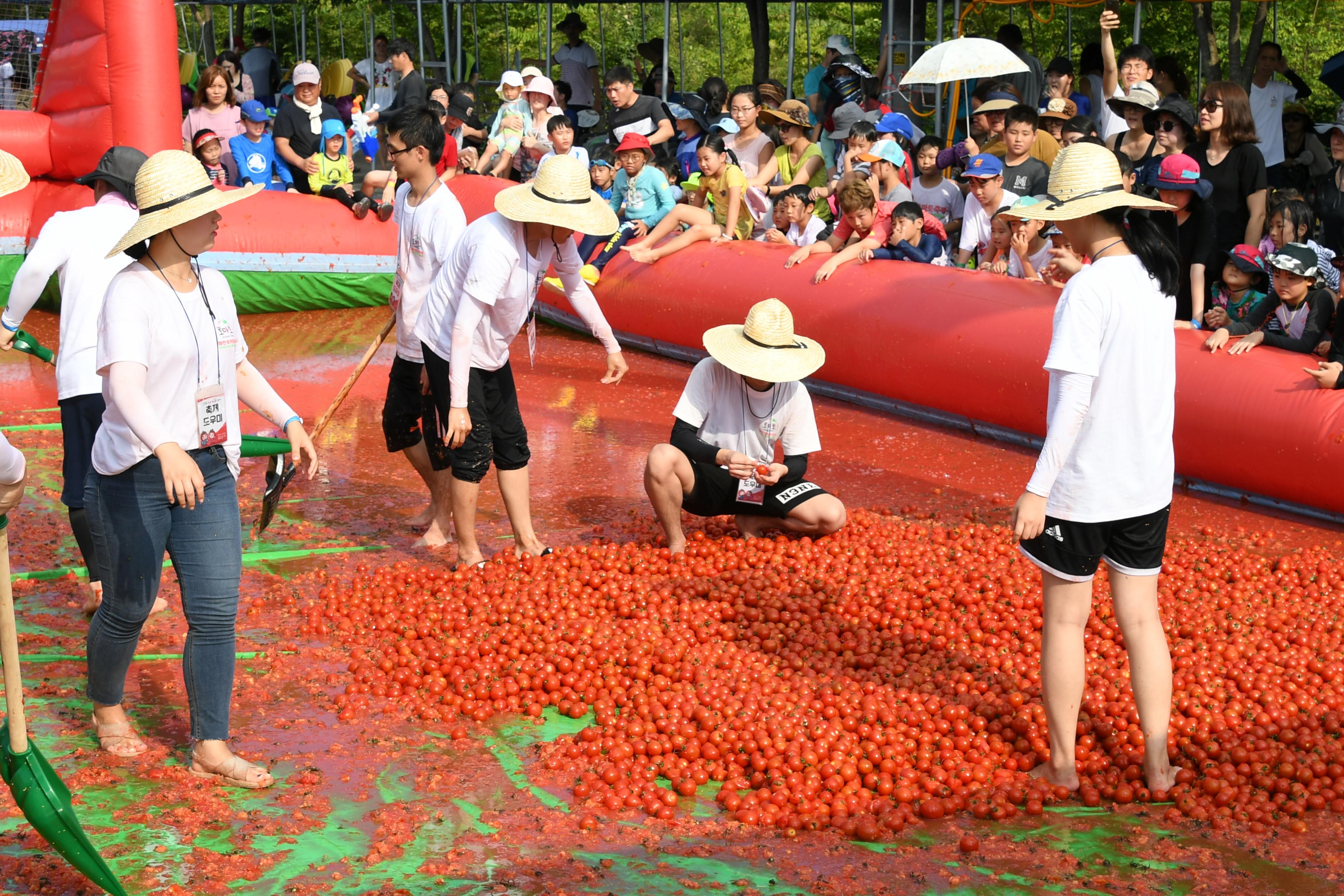 2018 화천토마토축제 황금반지를 찾아라 의 사진