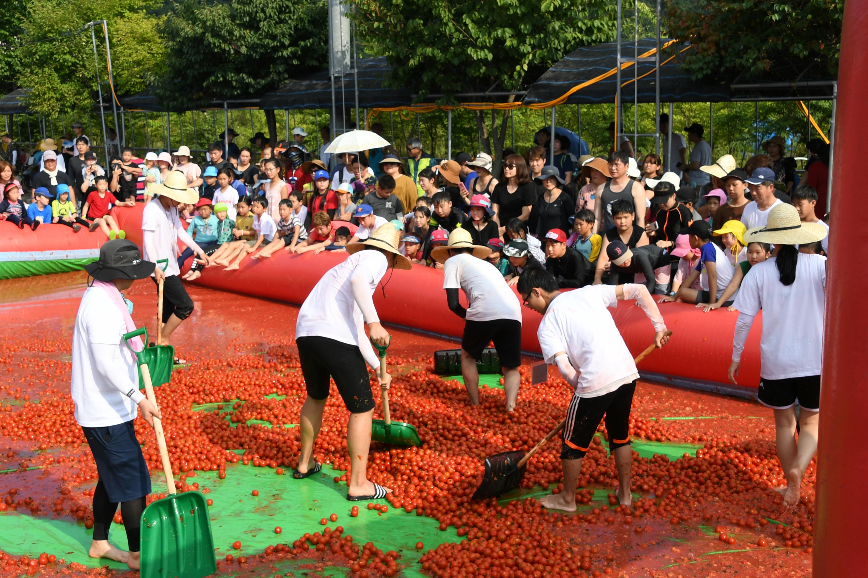 2018 화천토마토축제 황금반지를 찾아라 의 사진