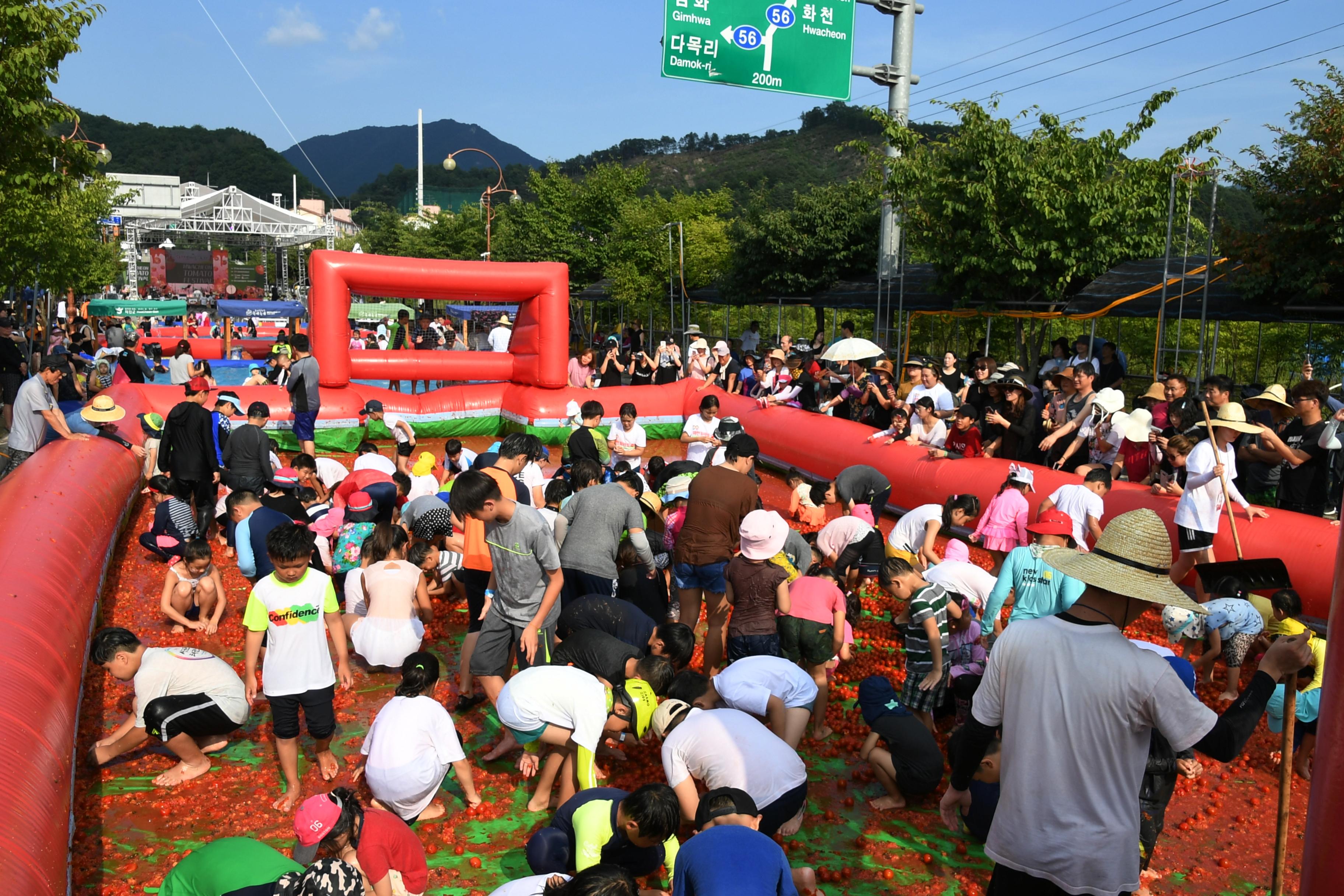 2018 화천토마토축제 황금반지를 찾아라 의 사진