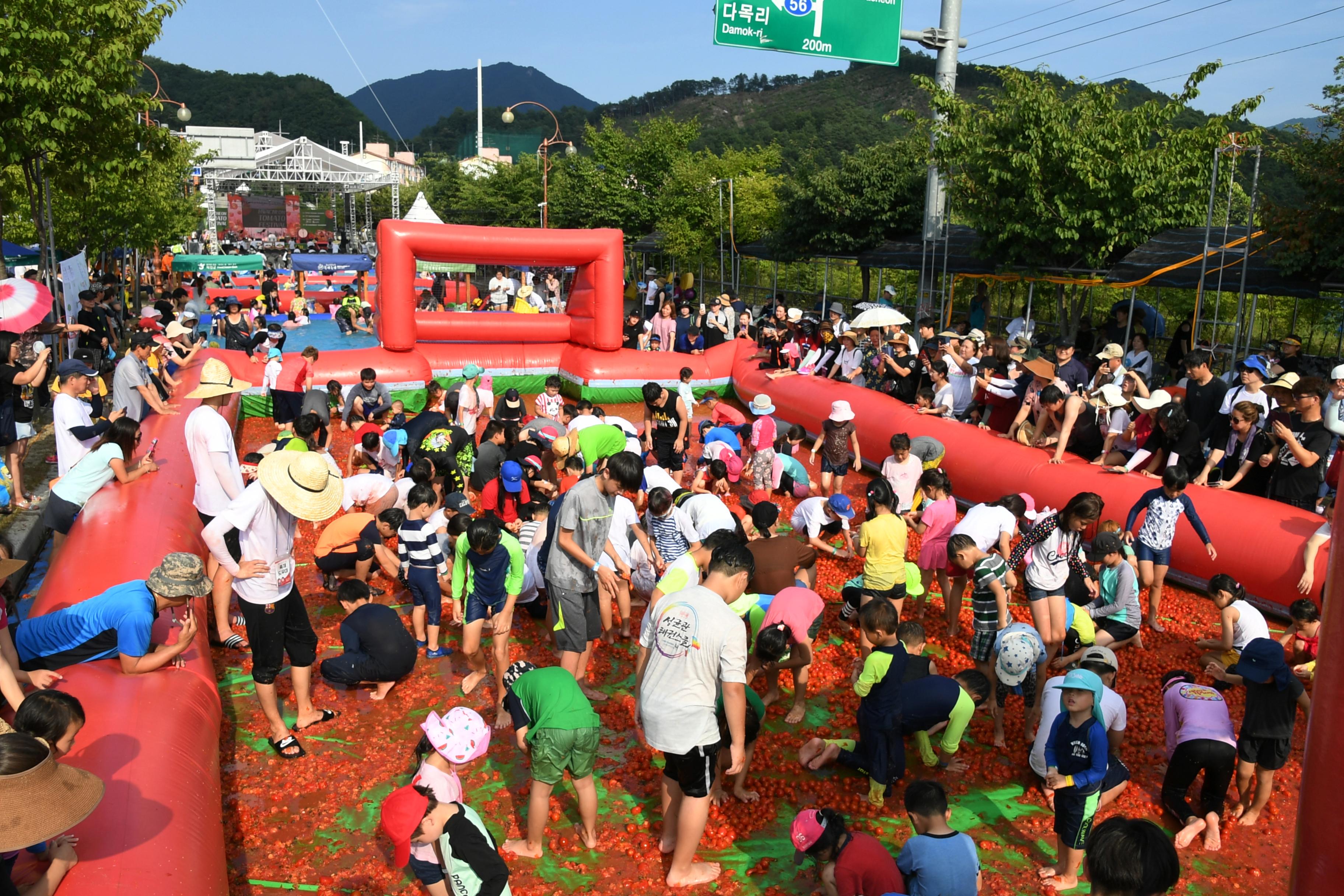 2018 화천토마토축제 황금반지를 찾아라 의 사진