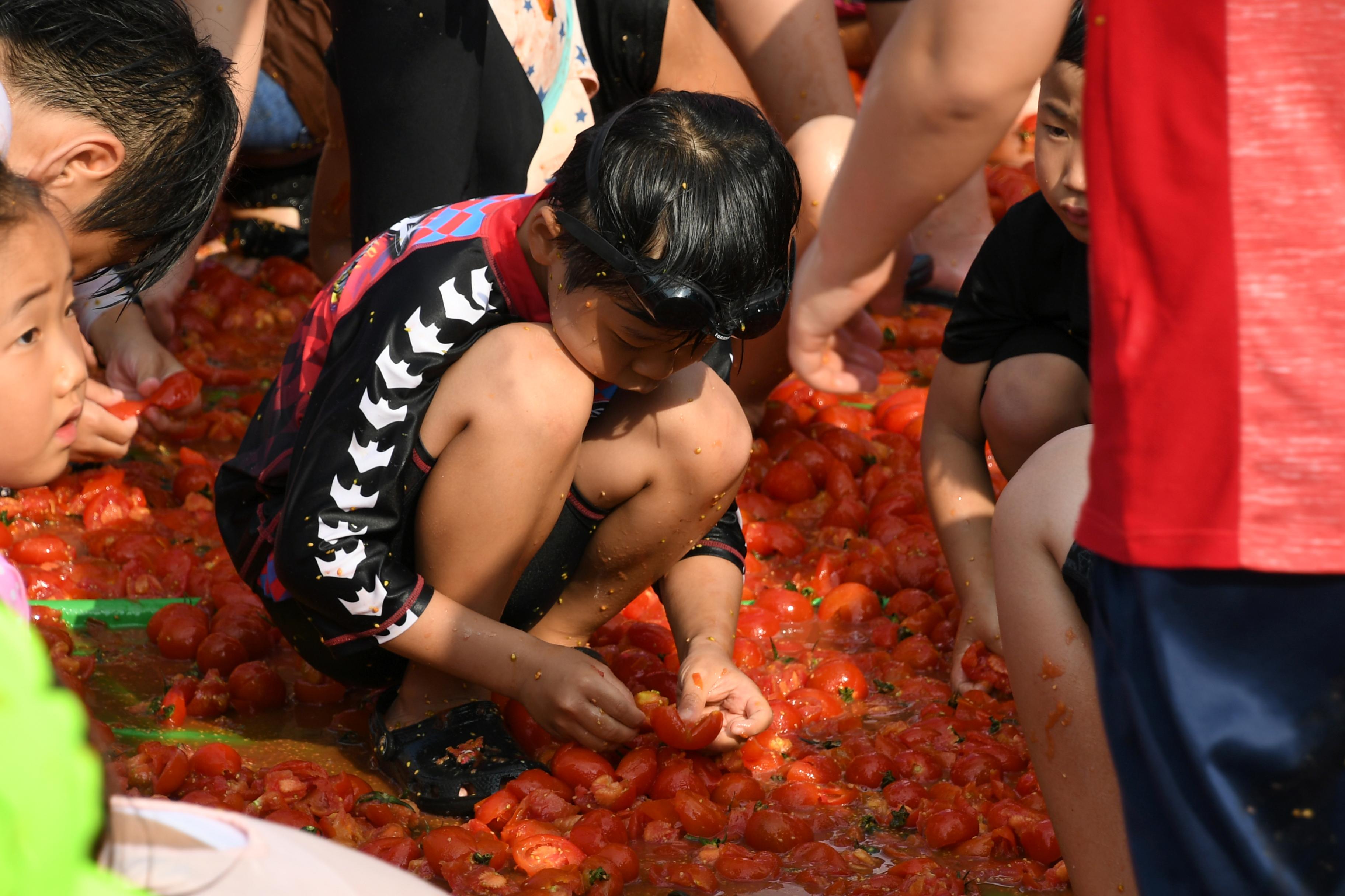 2018 화천토마토축제 황금반지를 찾아라 의 사진