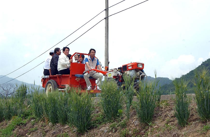 토고미마을 사진