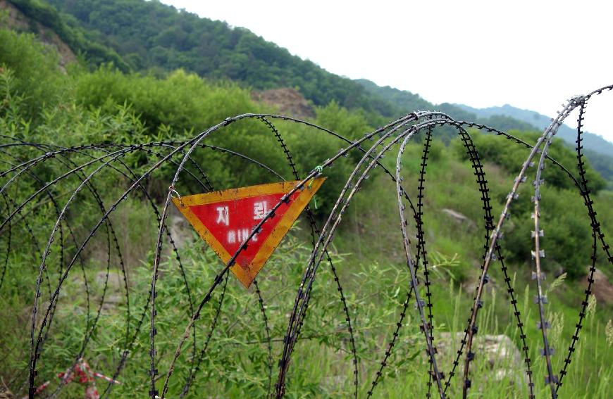 DMZ 의 사진