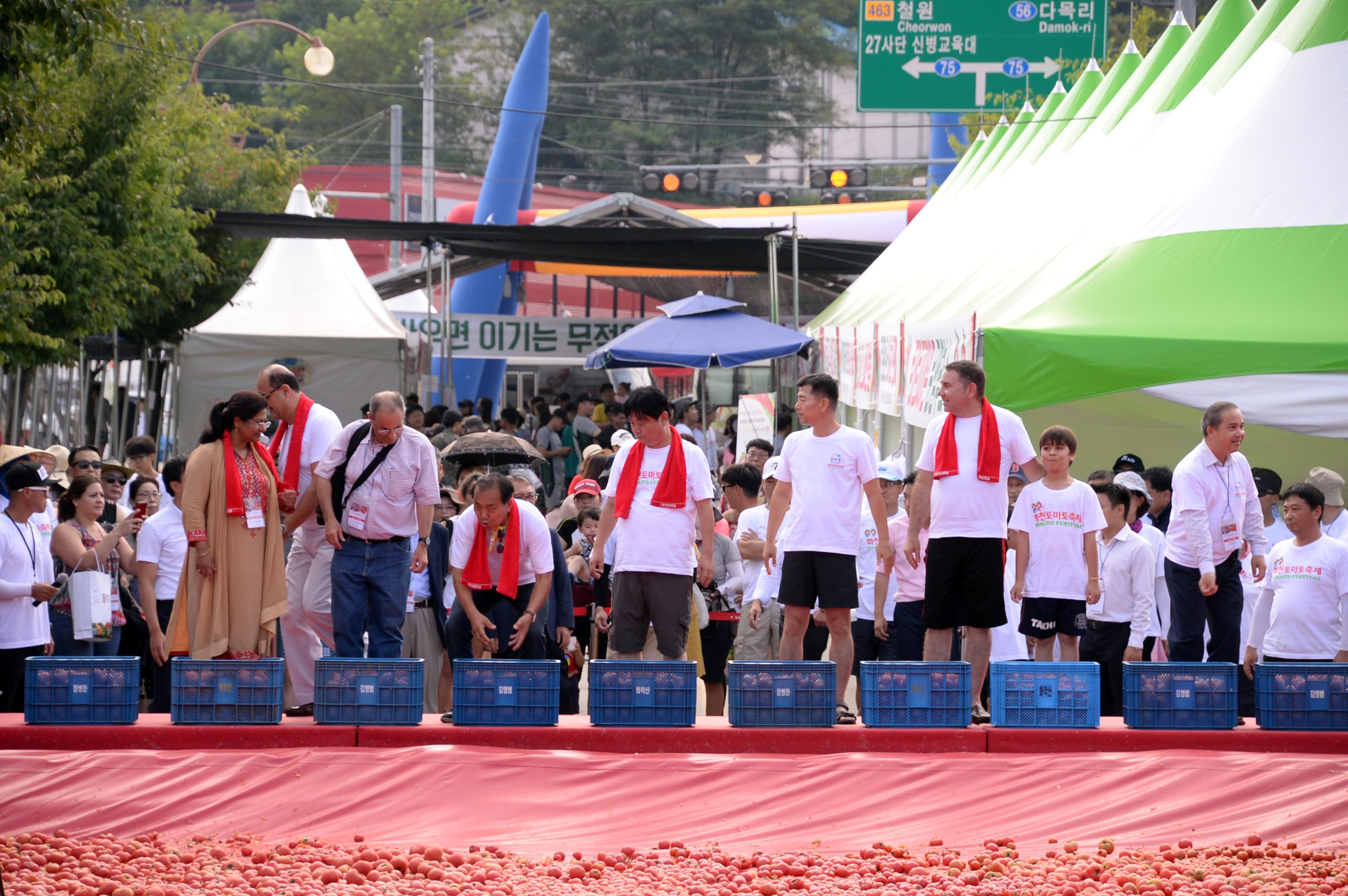 2018 화천토마토축제 주한대사 초청 황금반지를 찾아라 의 사진