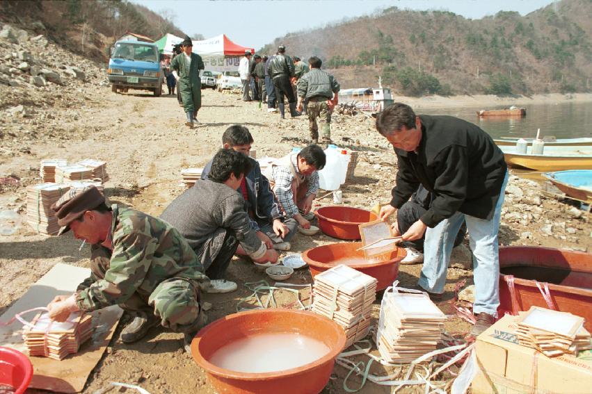 빙어인공채란 방류 의 사진