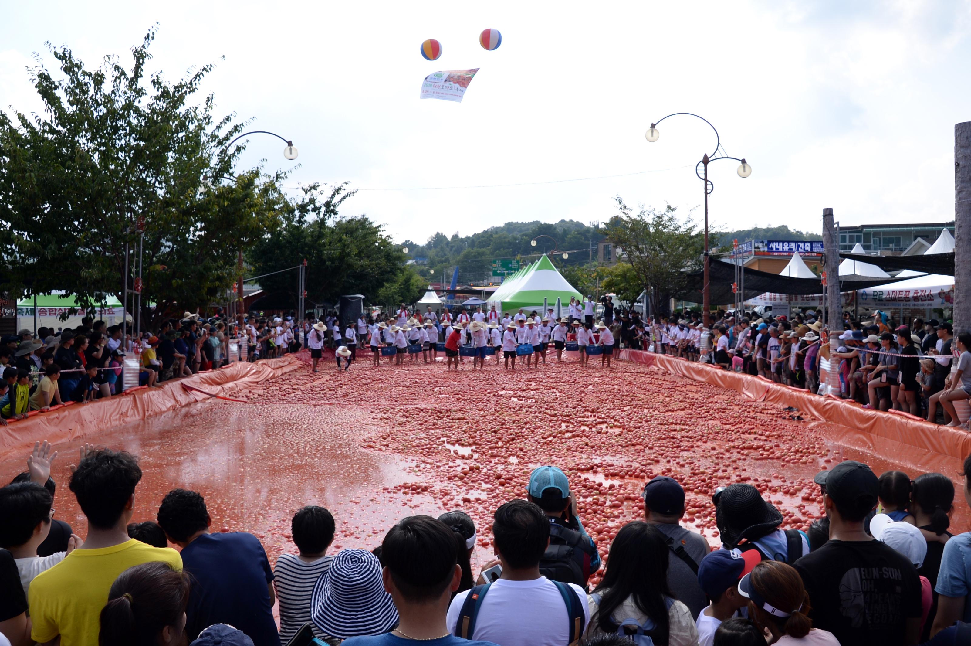 2018 화천토마토축제 주한대사 초청 황금반지를 찾아라 의 사진