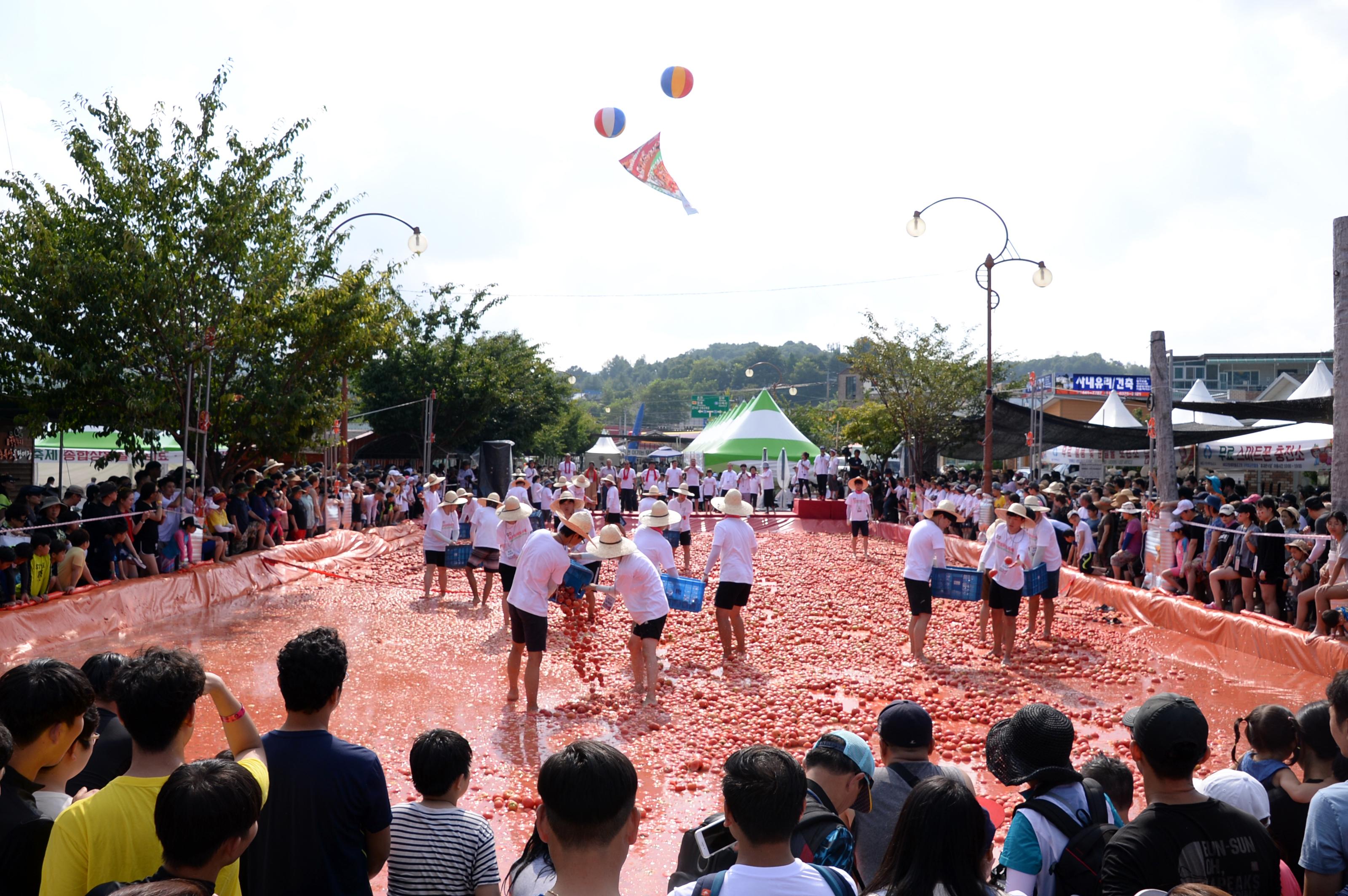 2018 화천토마토축제 주한대사 초청 황금반지를 찾아라 의 사진