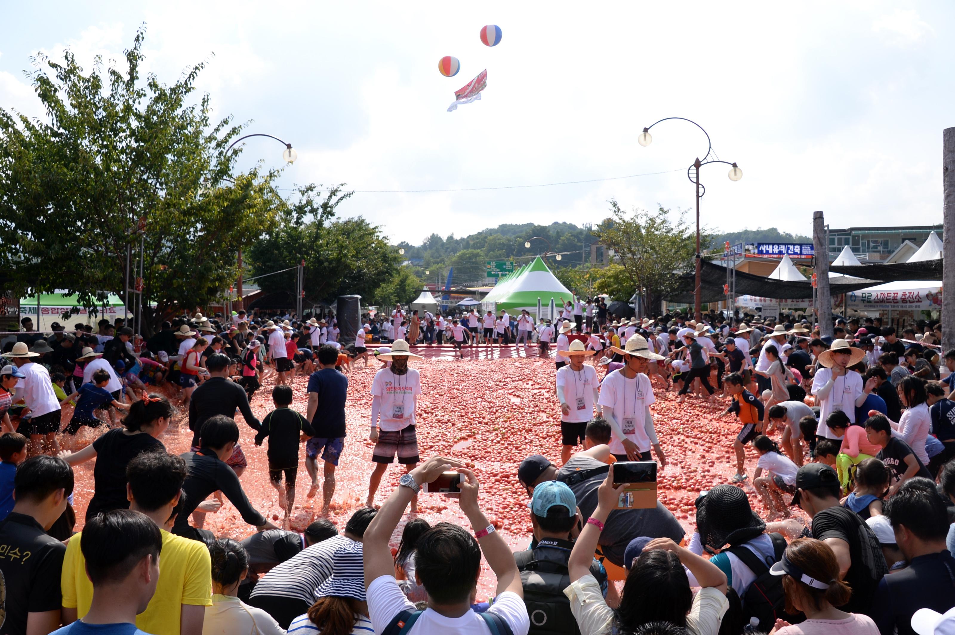 2018 화천토마토축제 주한대사 초청 황금반지를 찾아라 의 사진