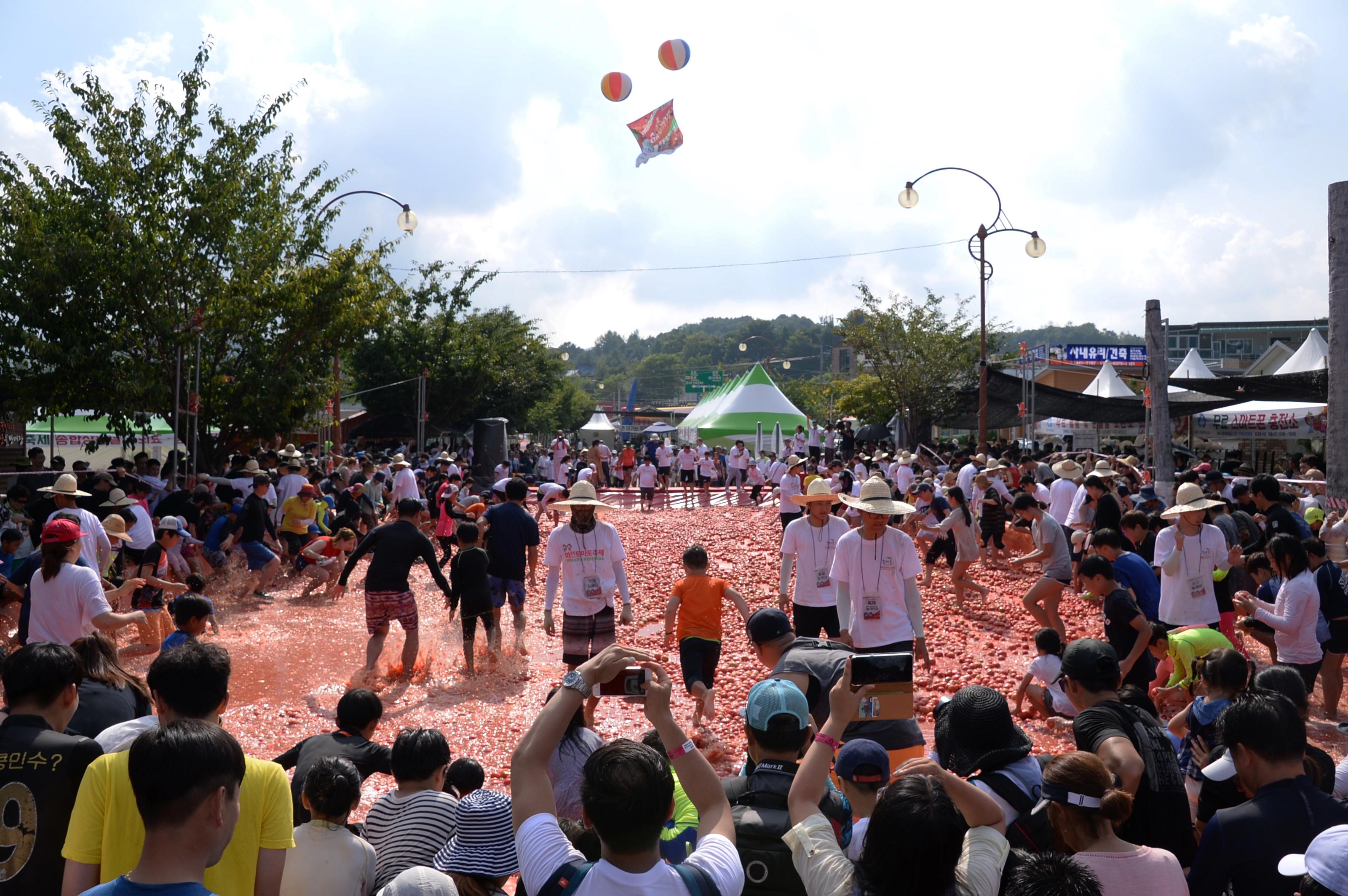 2018 화천토마토축제 주한대사 초청 황금반지를 찾아라 의 사진