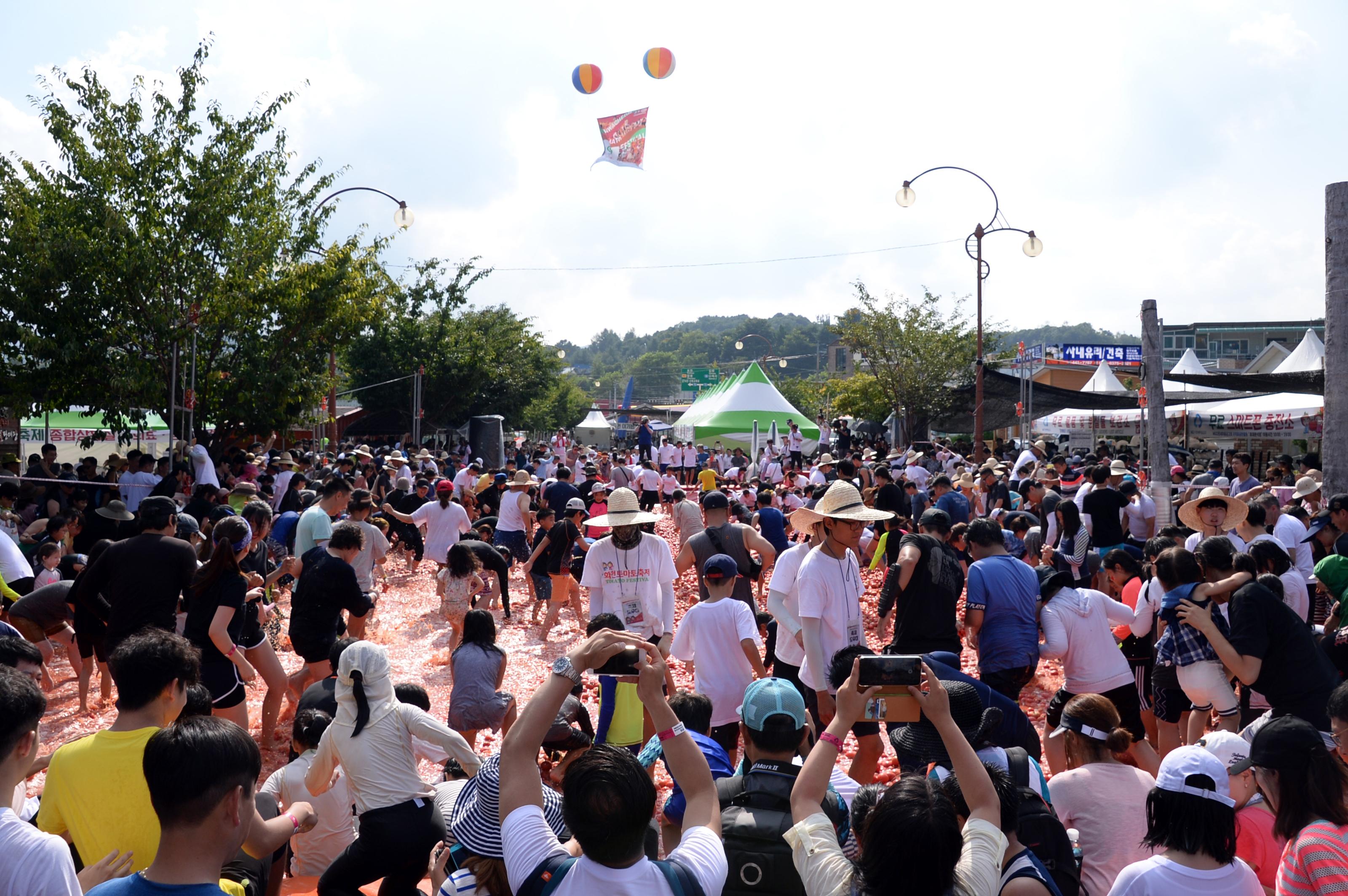 2018 화천토마토축제 주한대사 초청 황금반지를 찾아라 의 사진