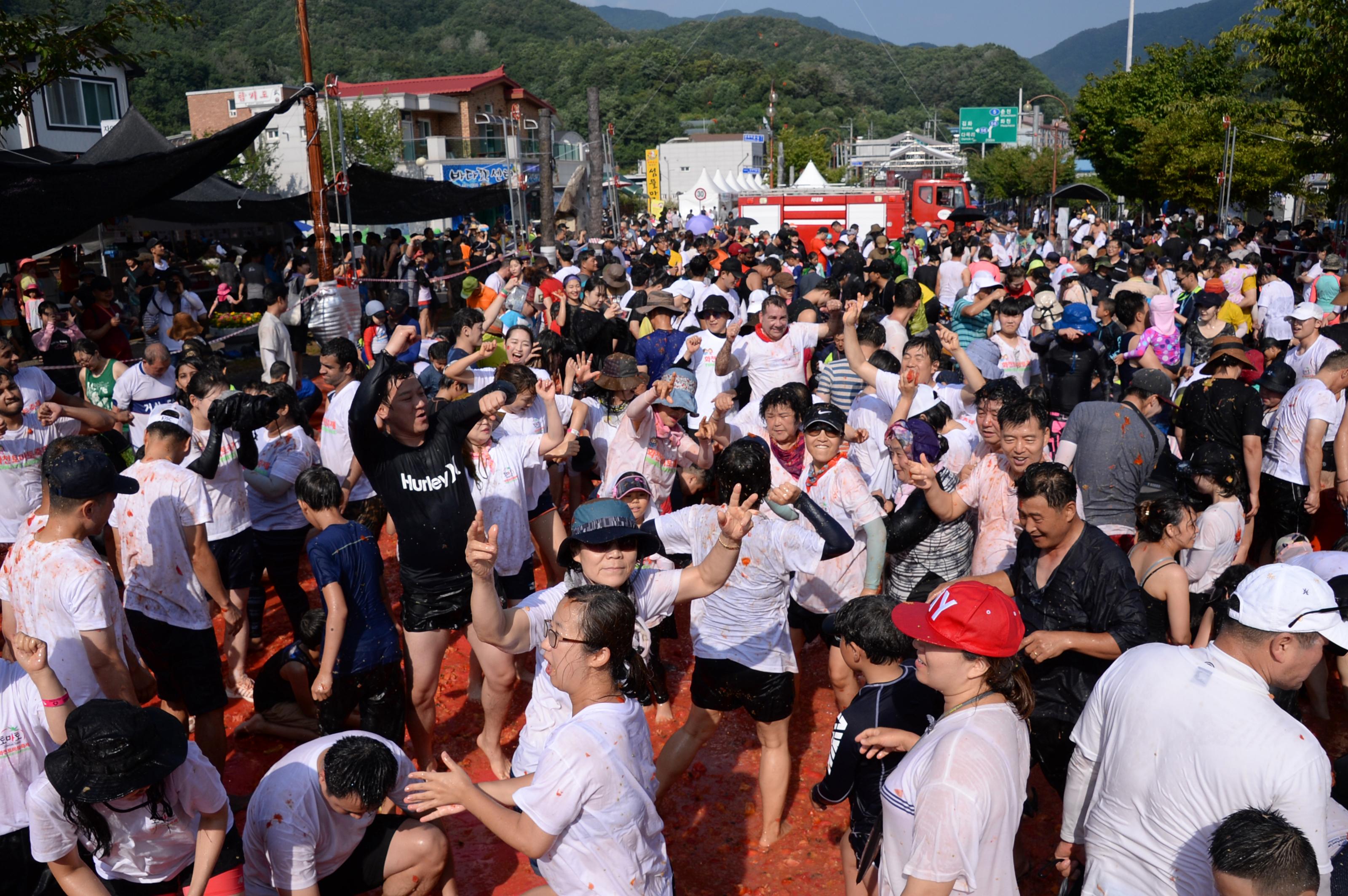 2018 화천토마토축제 주한대사 초청 황금반지를 찾아라 의 사진