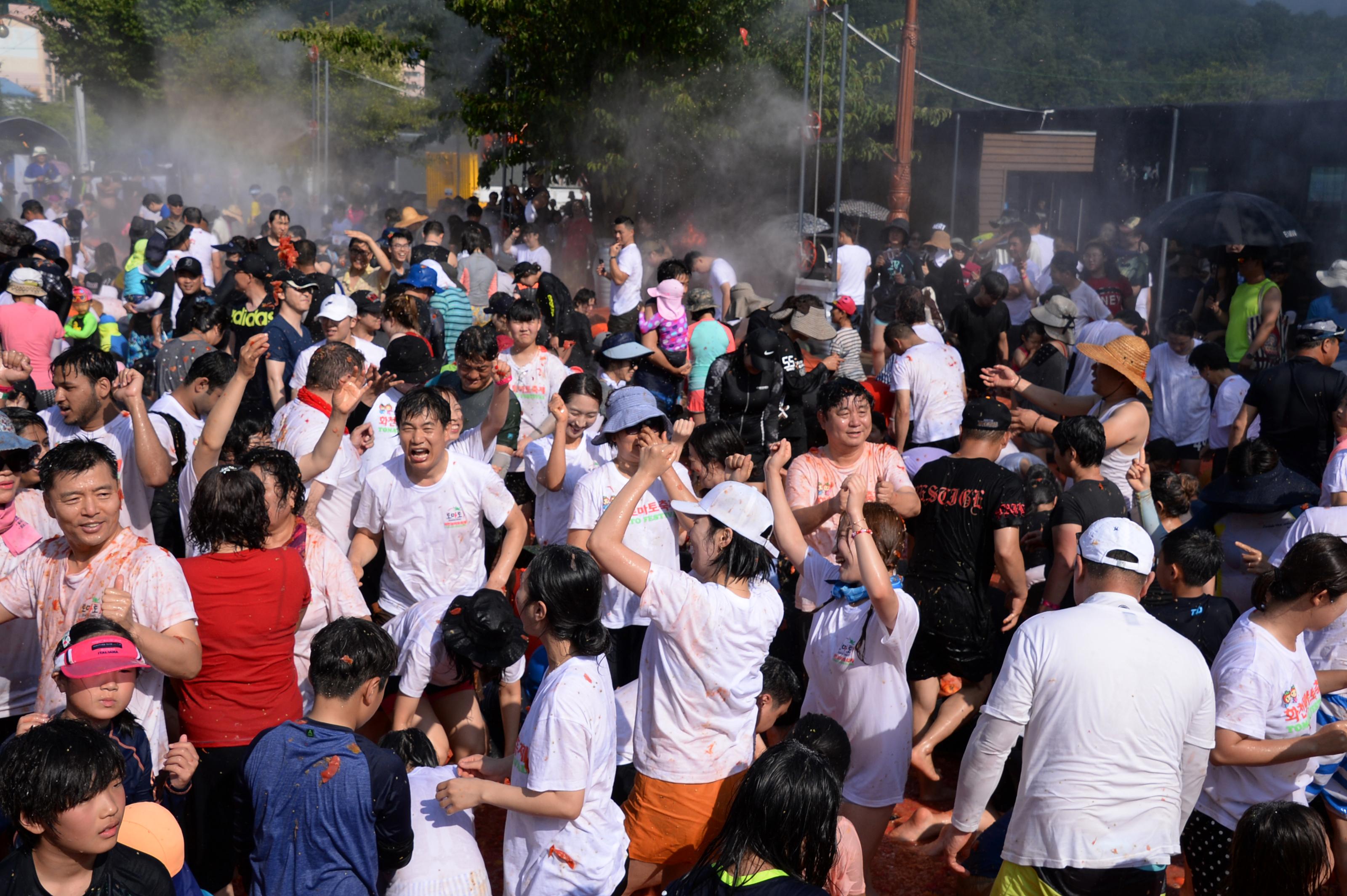 2018 화천토마토축제 주한대사 초청 황금반지를 찾아라 의 사진